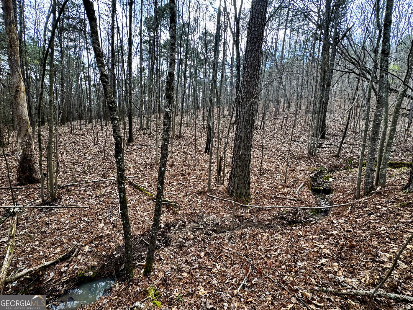 49.85ac Johnson Cemetery Property Photo 10