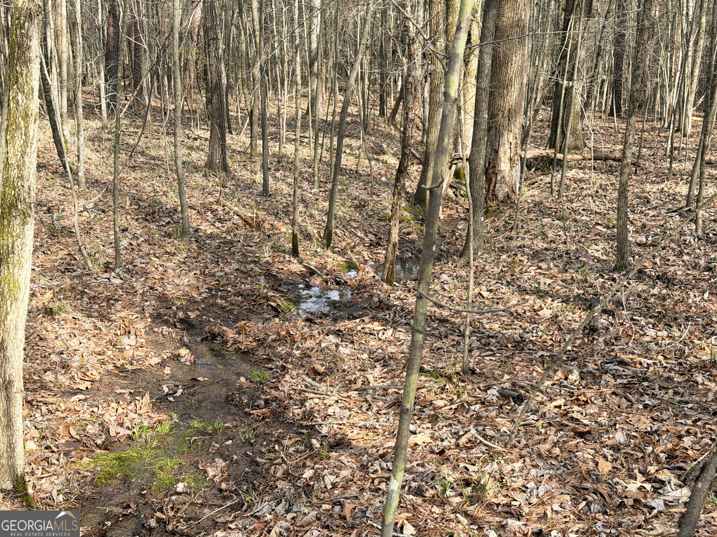 49.85ac Johnson Cemetery Property Photo 14