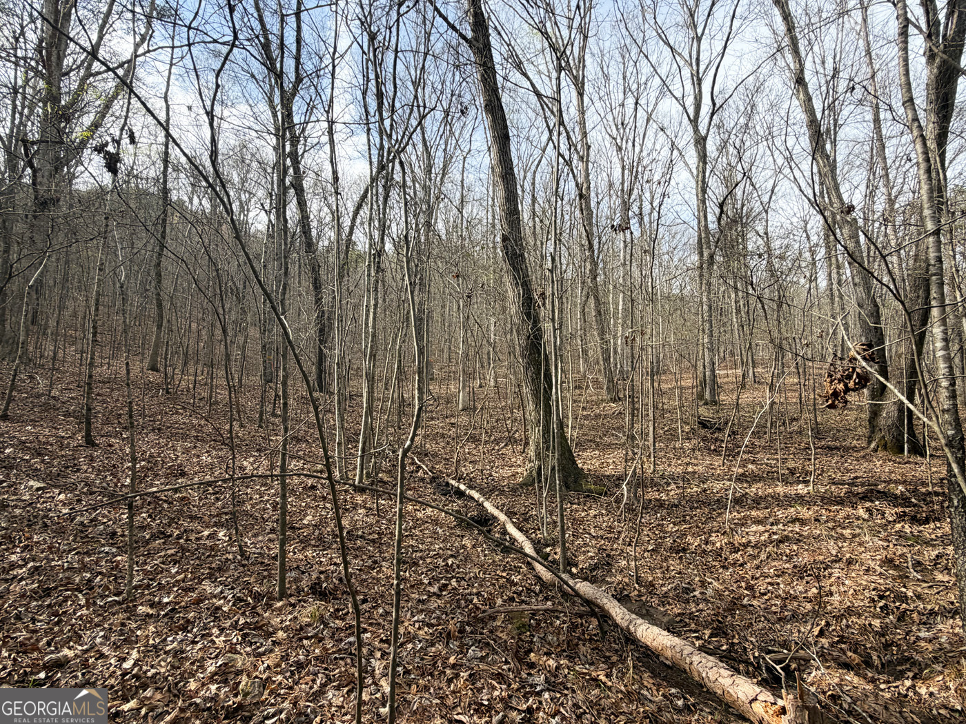 49.85ac Johnson Cemetery Property Photo 15