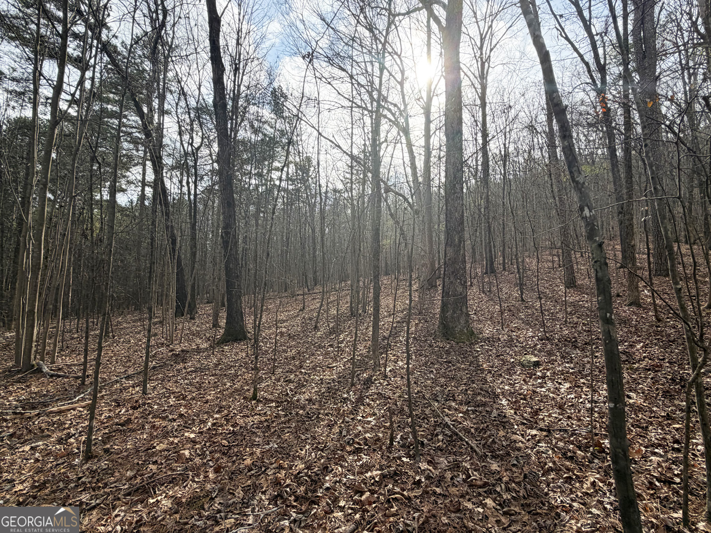 49.85ac Johnson Cemetery Property Photo 16