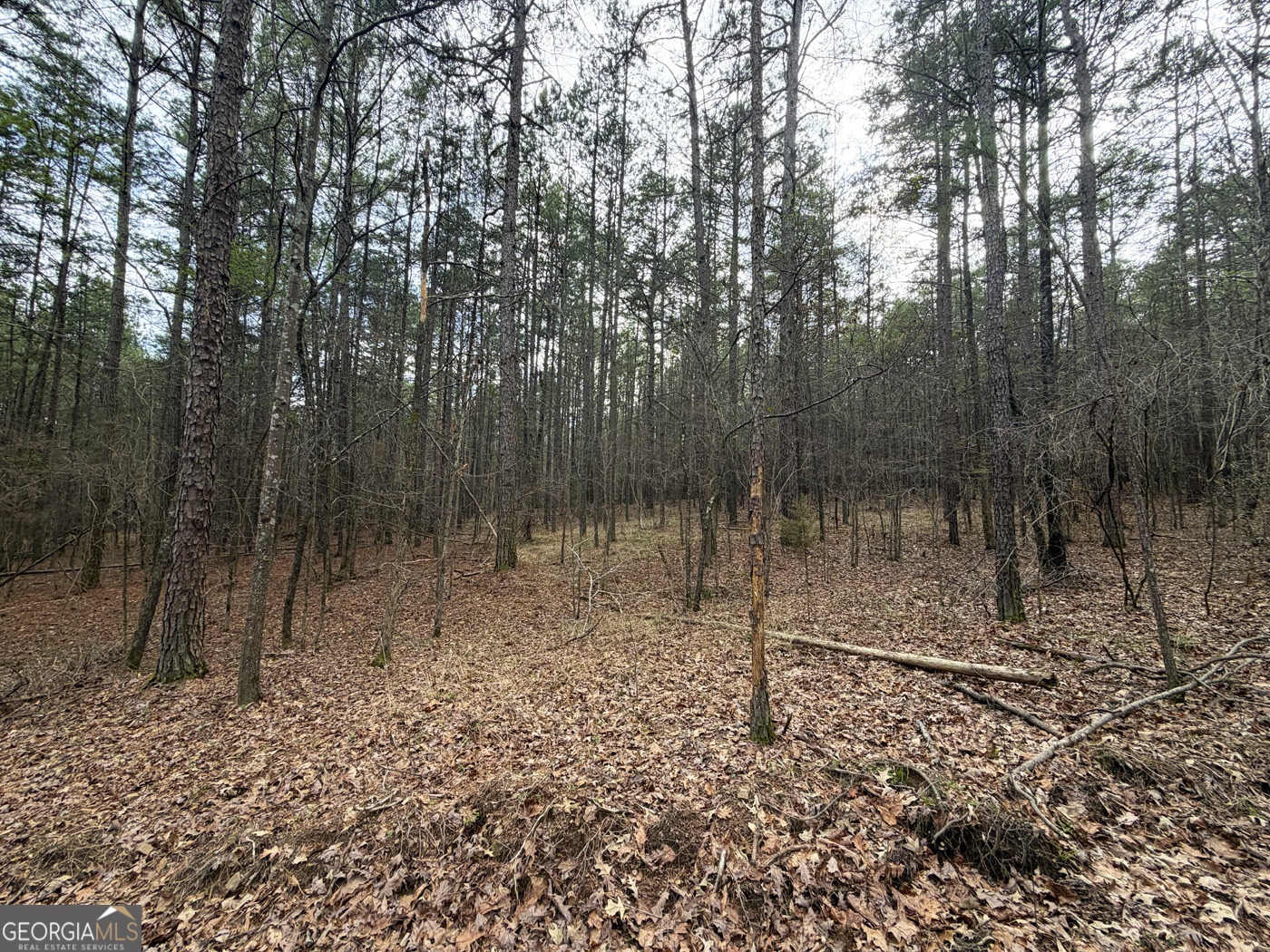 49.85ac Johnson Cemetery Property Photo 19