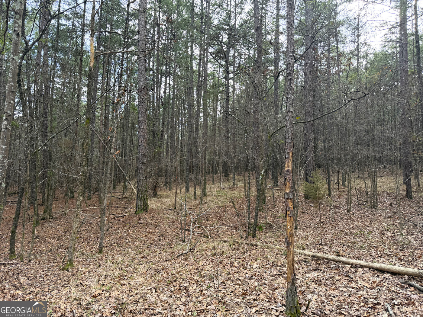 49.85ac Johnson Cemetery Property Photo 20