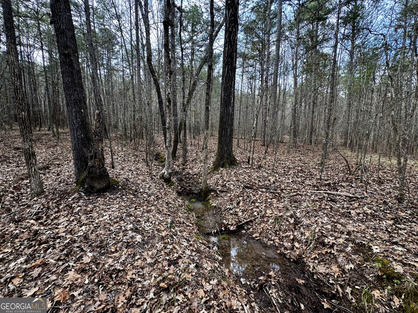49.85ac Johnson Cemetery Property Photo 22