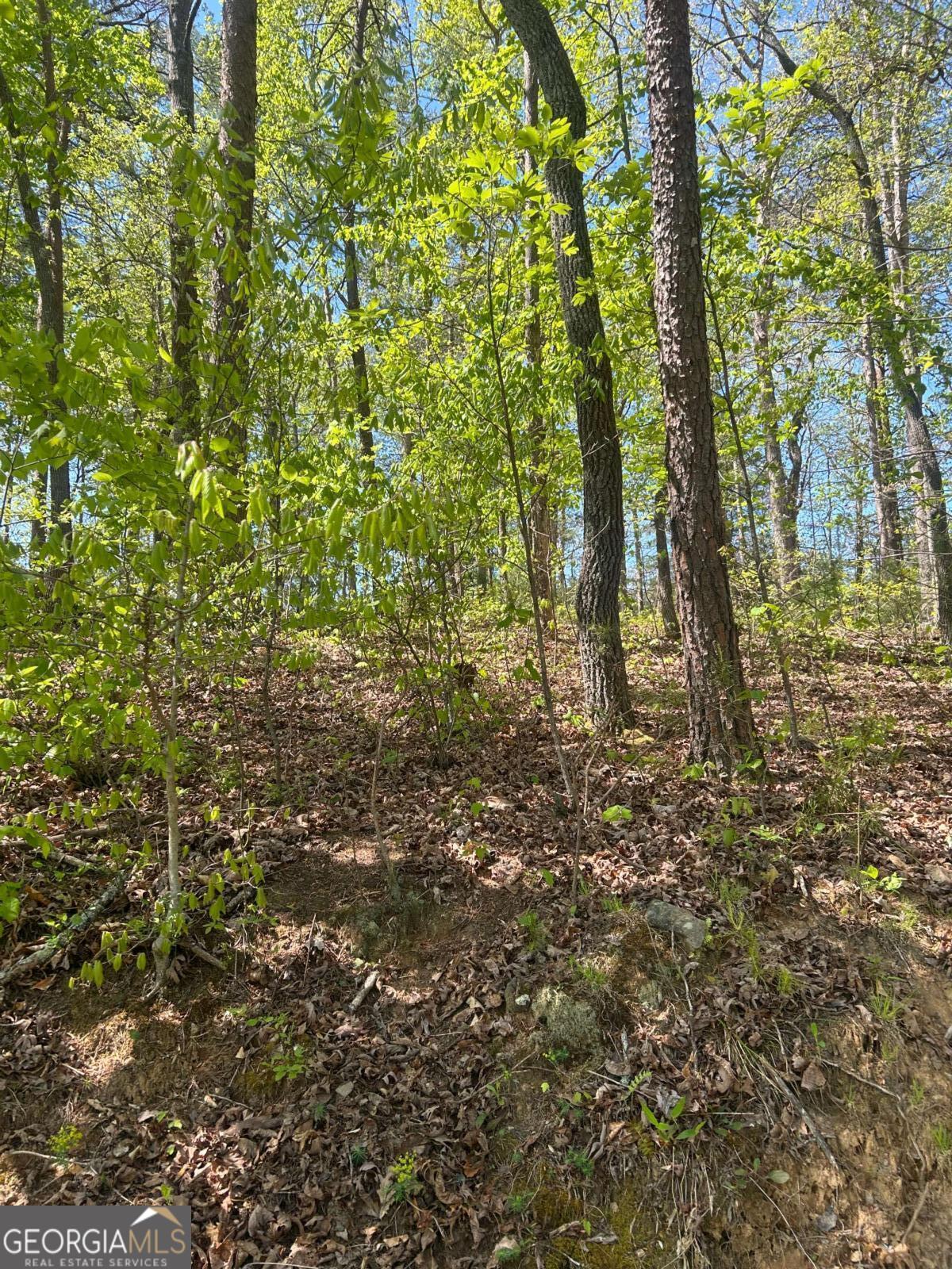 0 Windfield Circle # 36 Property Photo 4