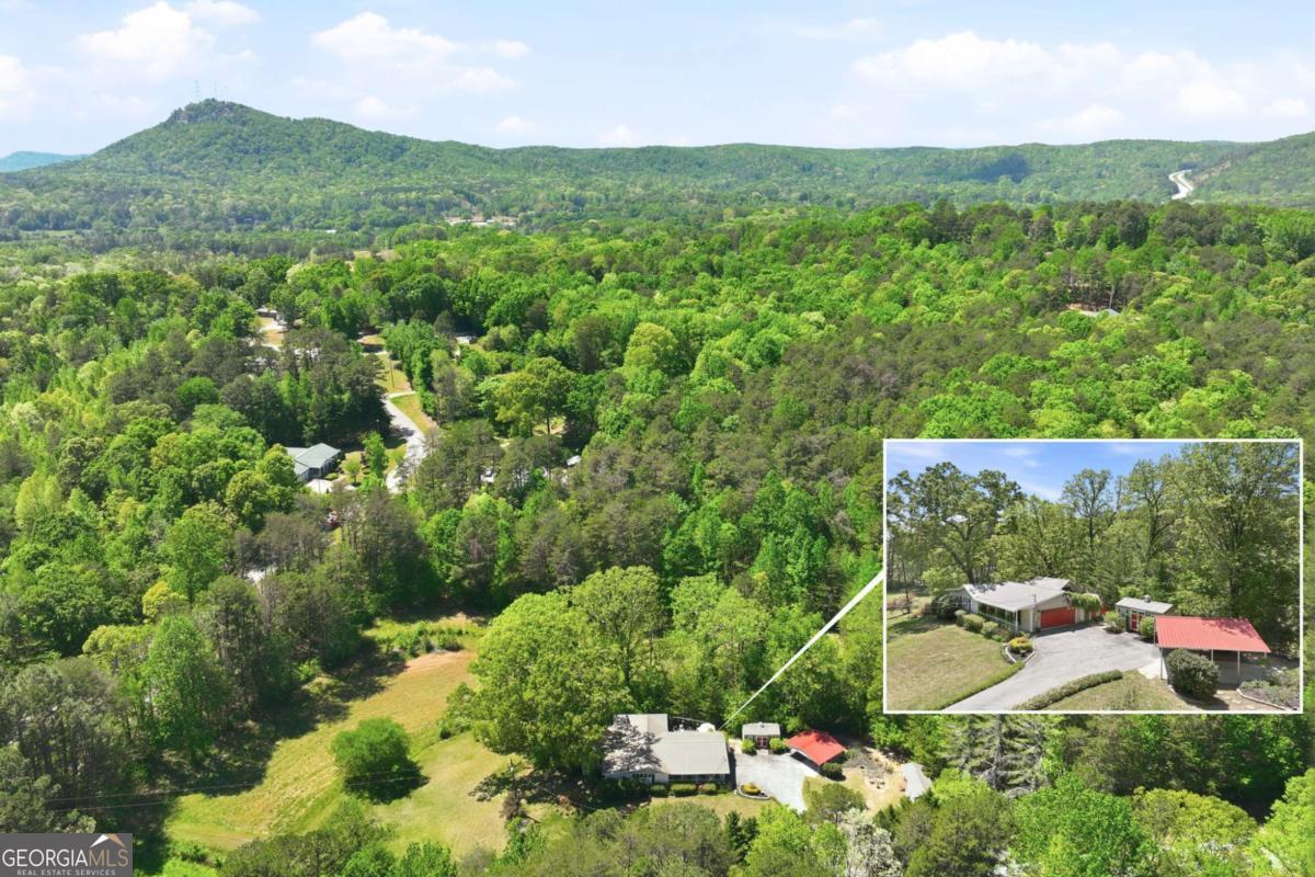 238 Currahee Circle Property Photo 8