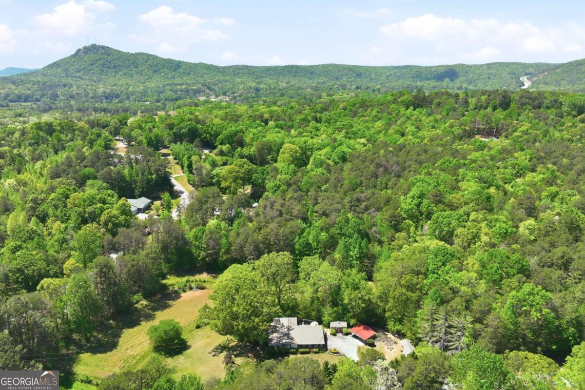 238 Currahee Circle Property Photo 42
