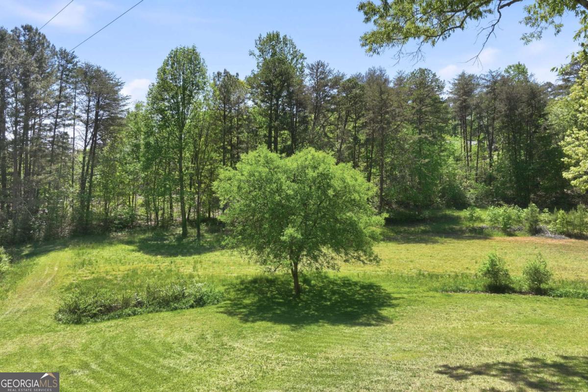 238 Currahee Circle Property Photo 43
