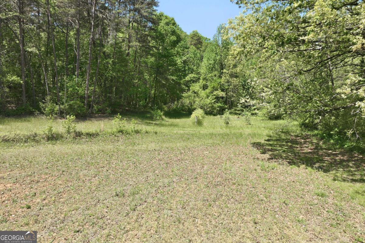 238 Currahee Circle Property Photo 44