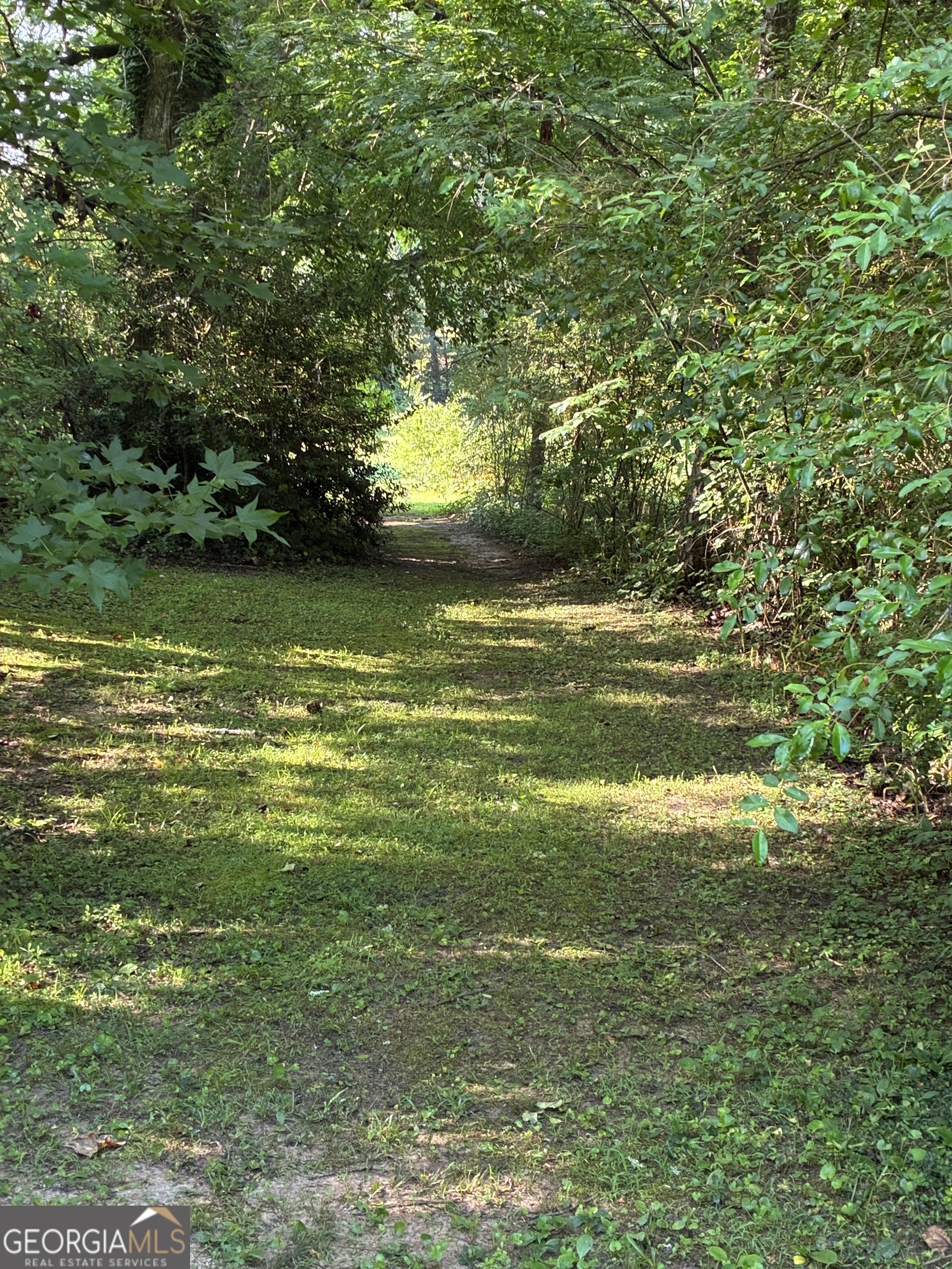 238 Currahee Circle Property Photo 48