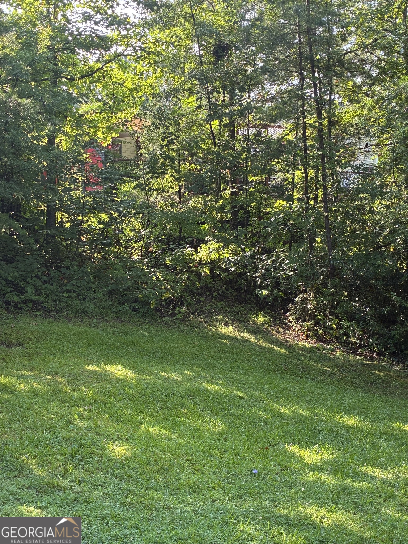 238 Currahee Circle Property Photo 49