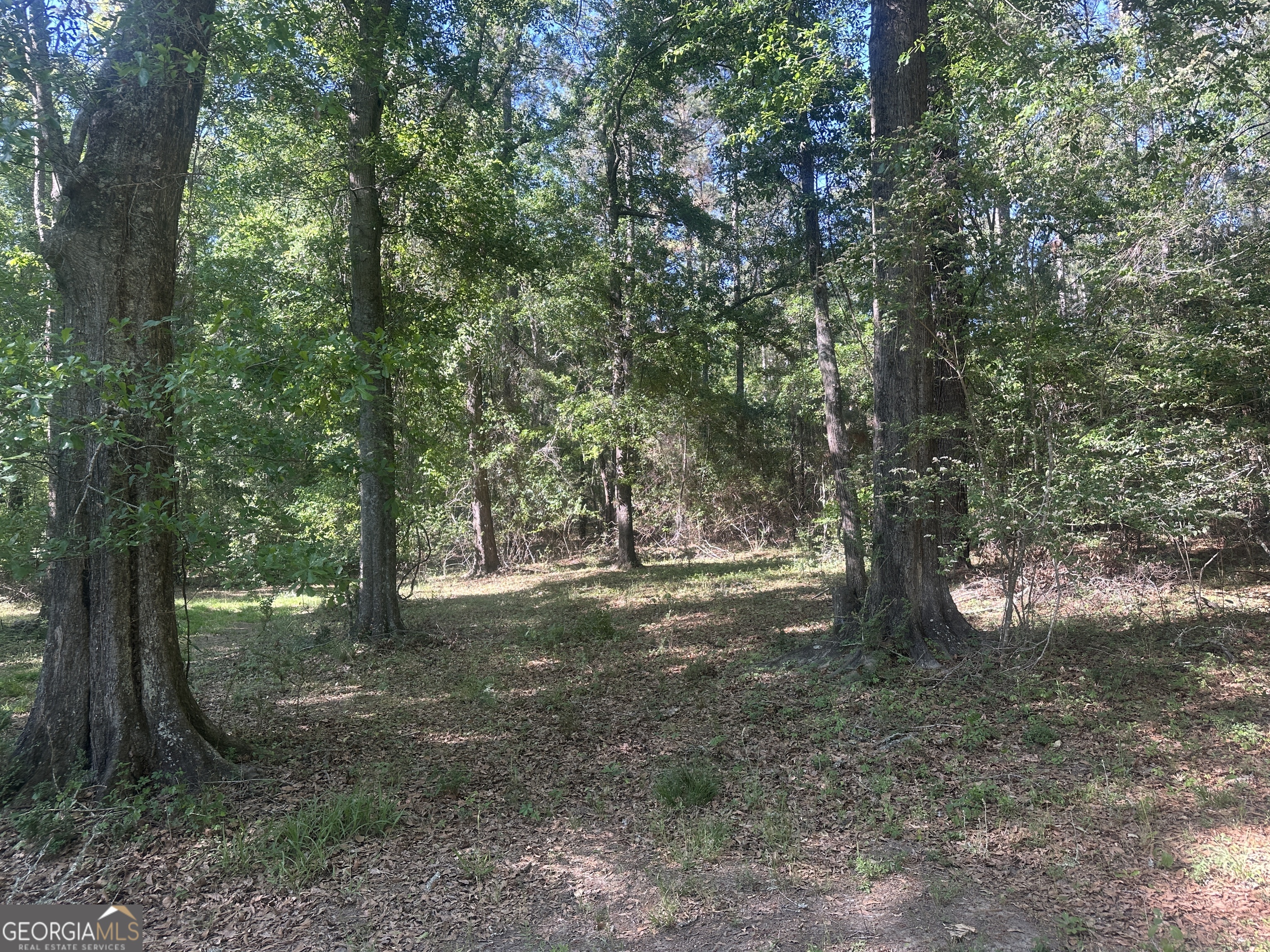 0 Burtons Ferry Highway Property Photo 1