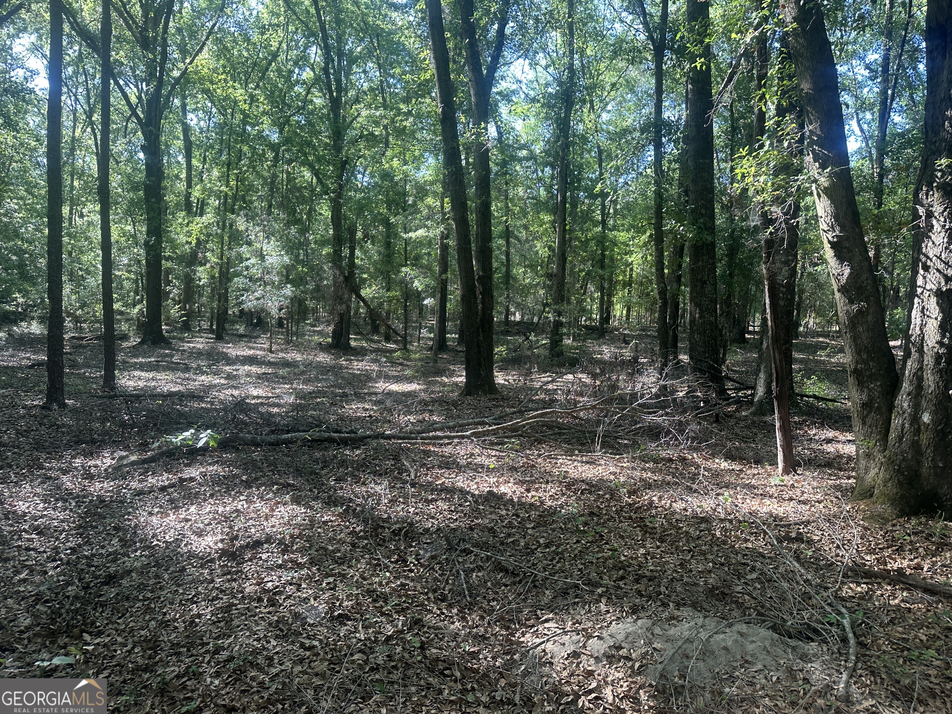 0 Burtons Ferry Highway Property Photo 2