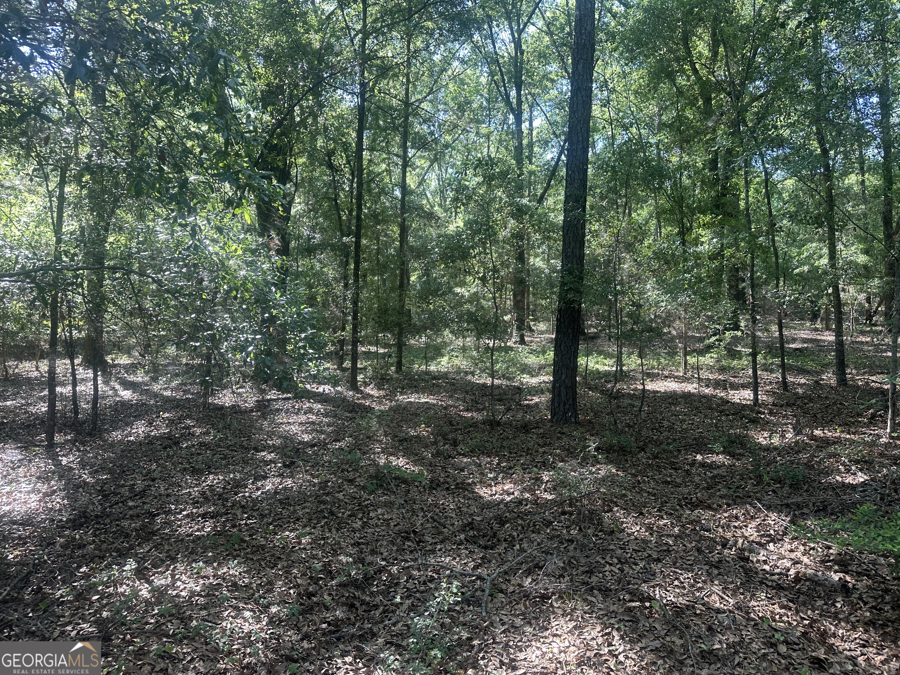 0 Burtons Ferry Highway Property Photo 3