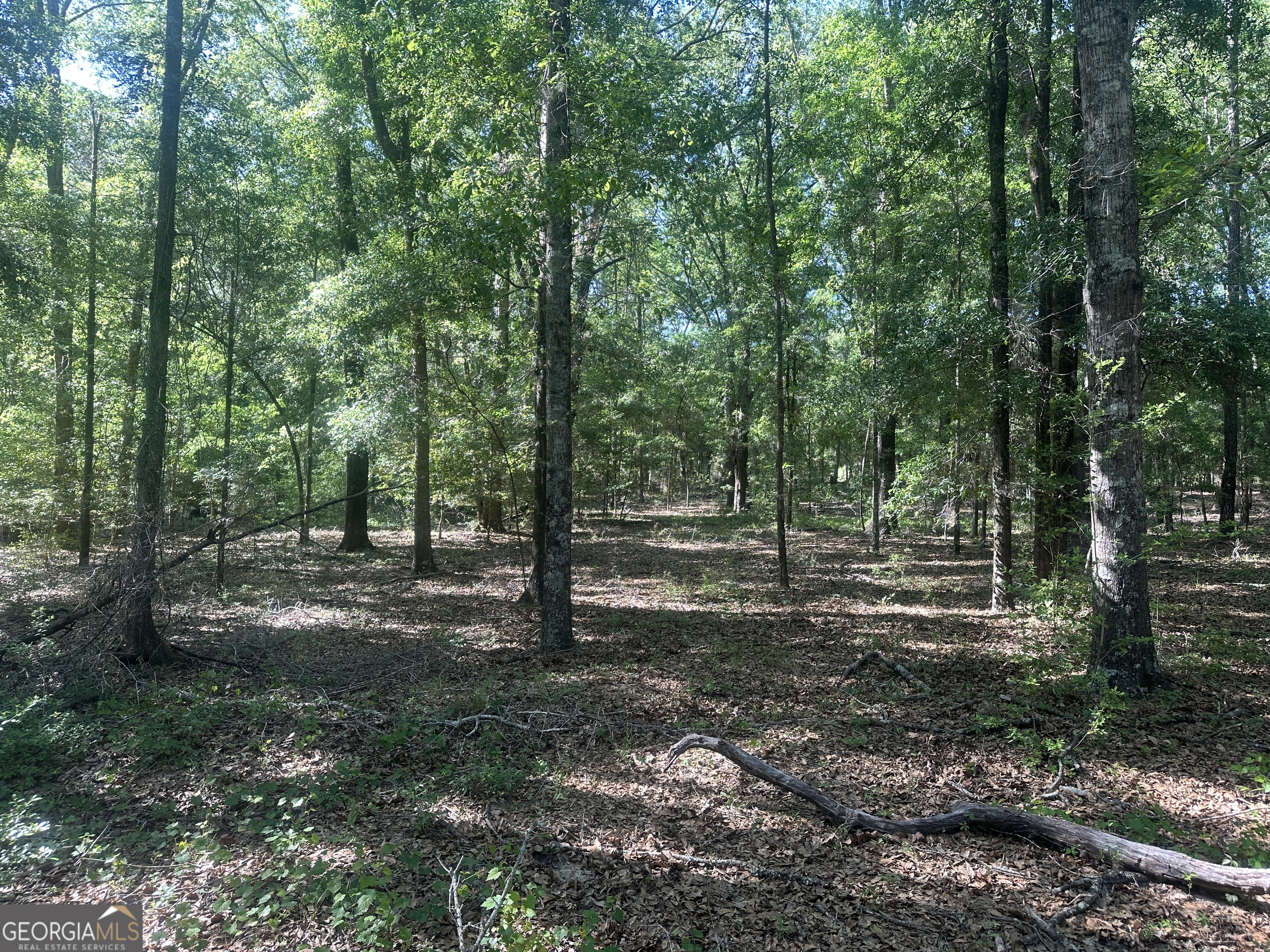 0 Burtons Ferry Highway Property Photo 4