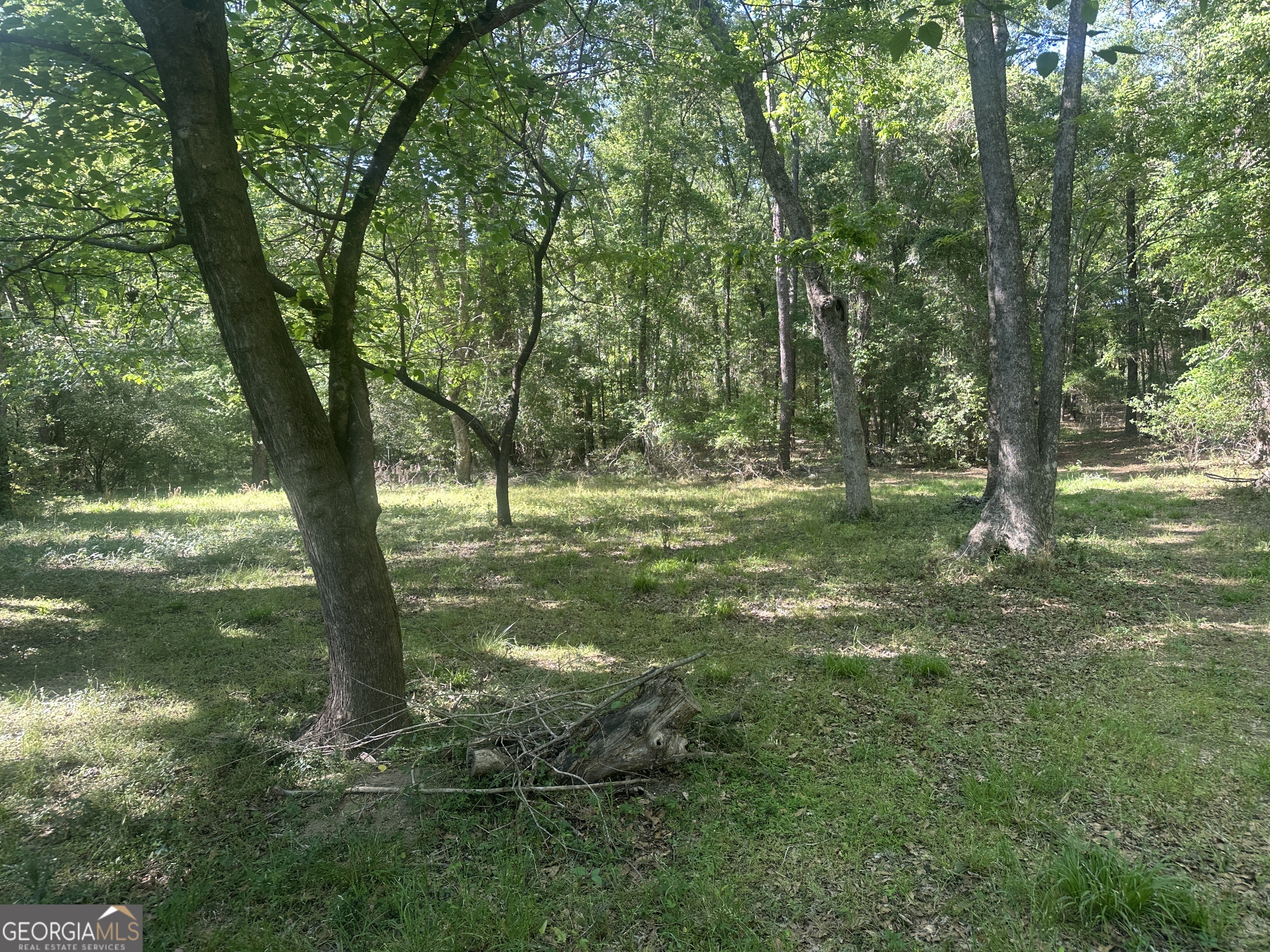 0 Burtons Ferry Highway Property Photo 5