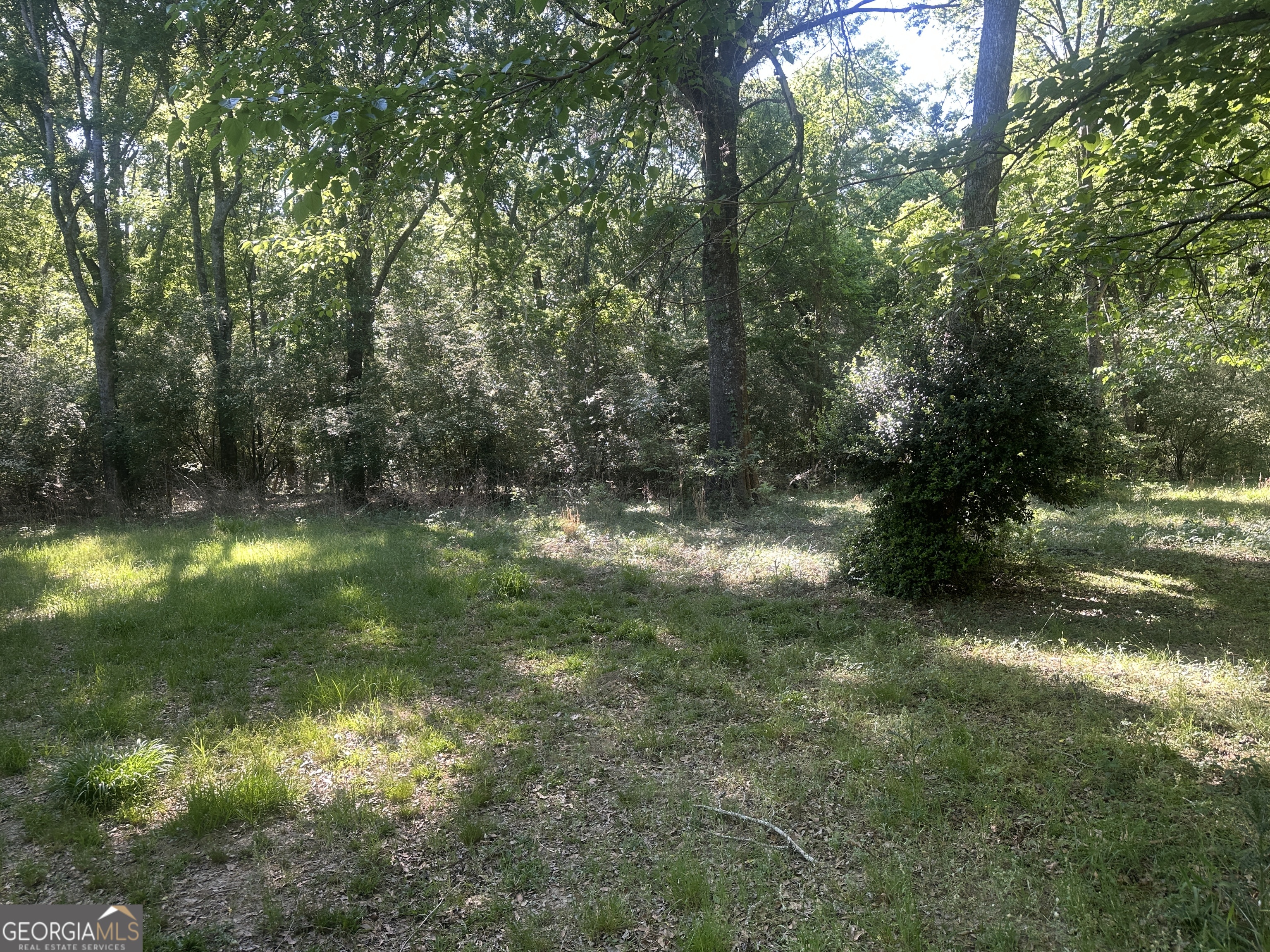 0 Burtons Ferry Highway Property Photo 6