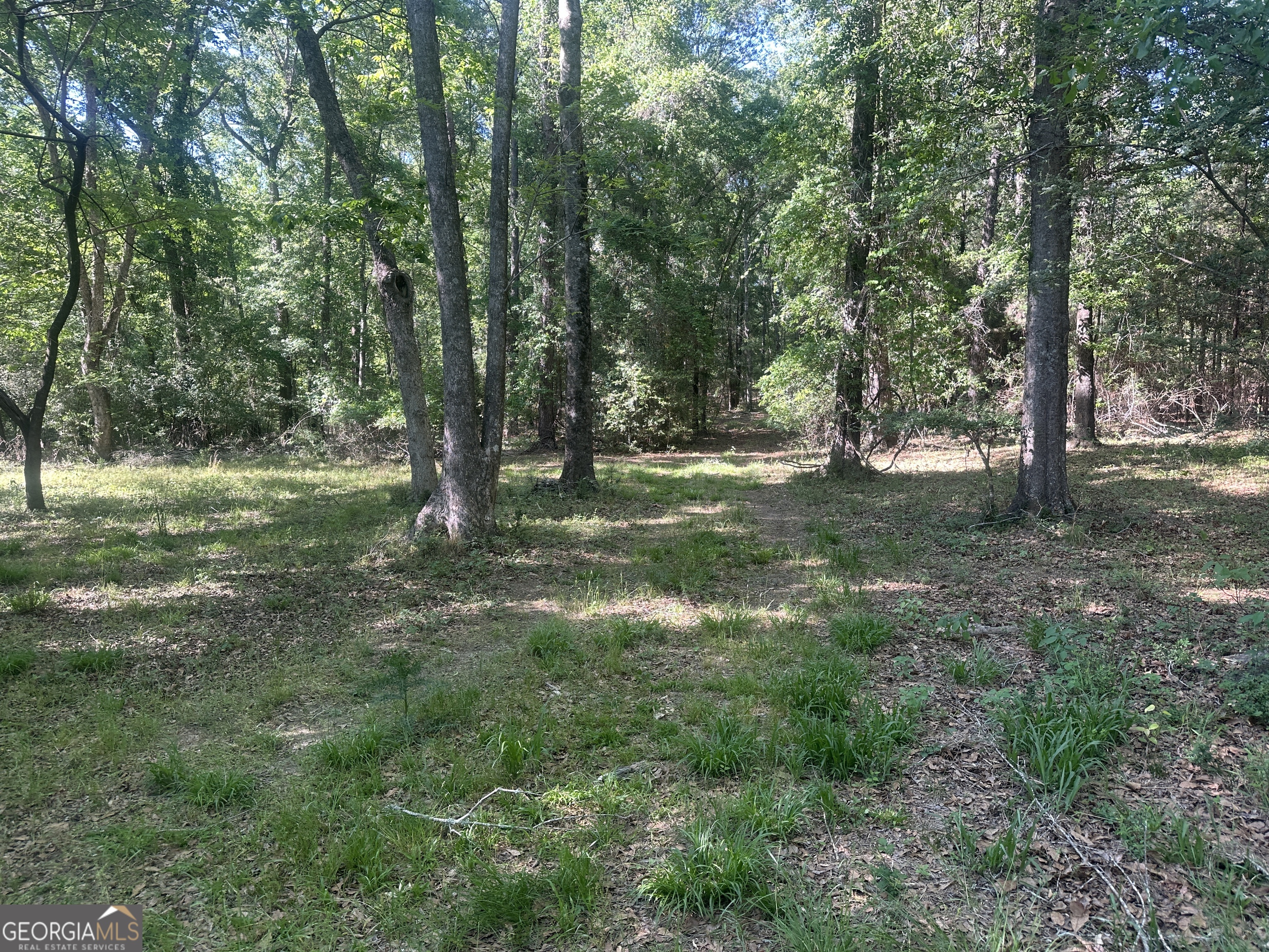 0 Burtons Ferry Highway Property Photo 7