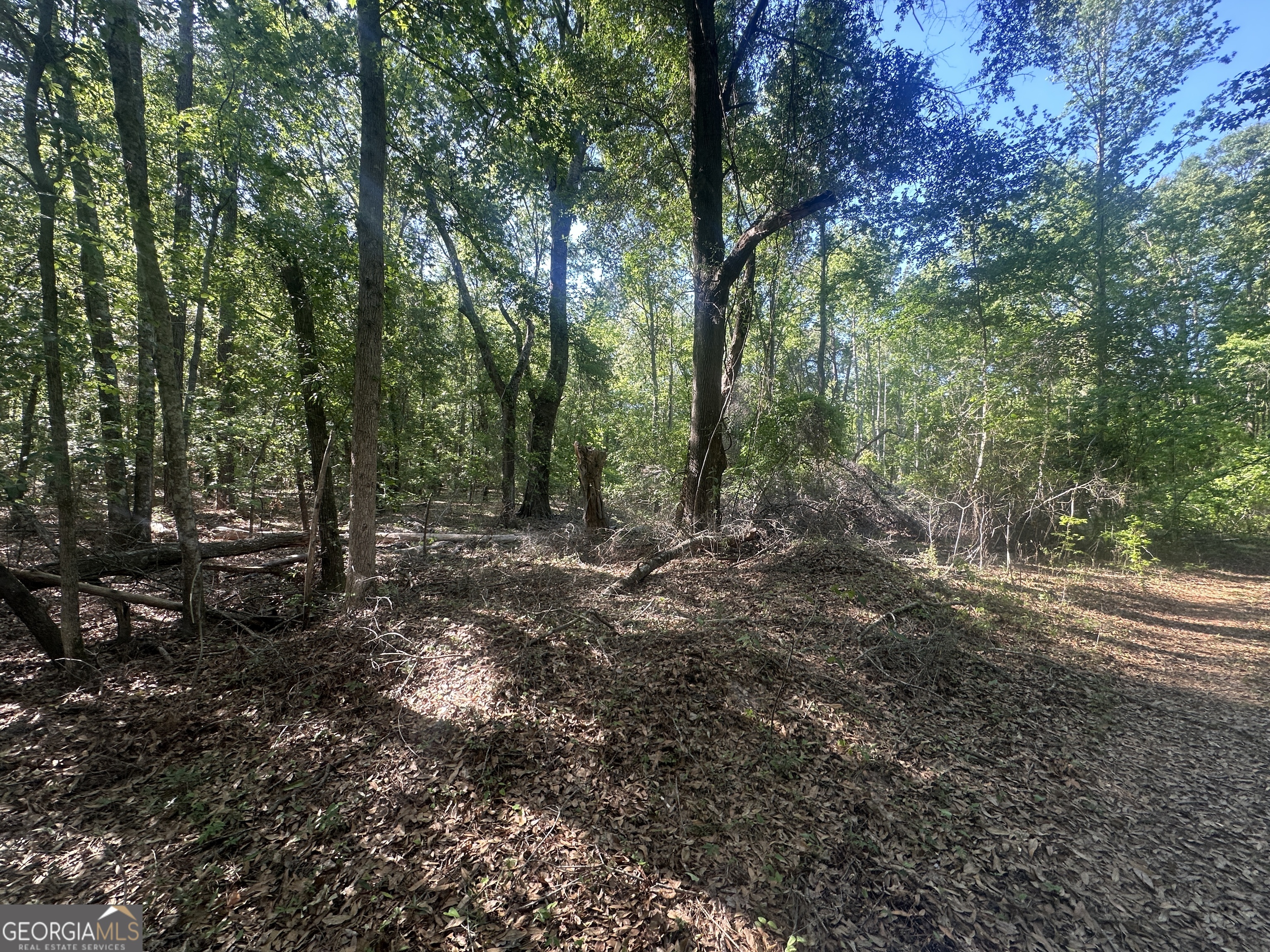 0 Burtons Ferry Highway Property Photo 8
