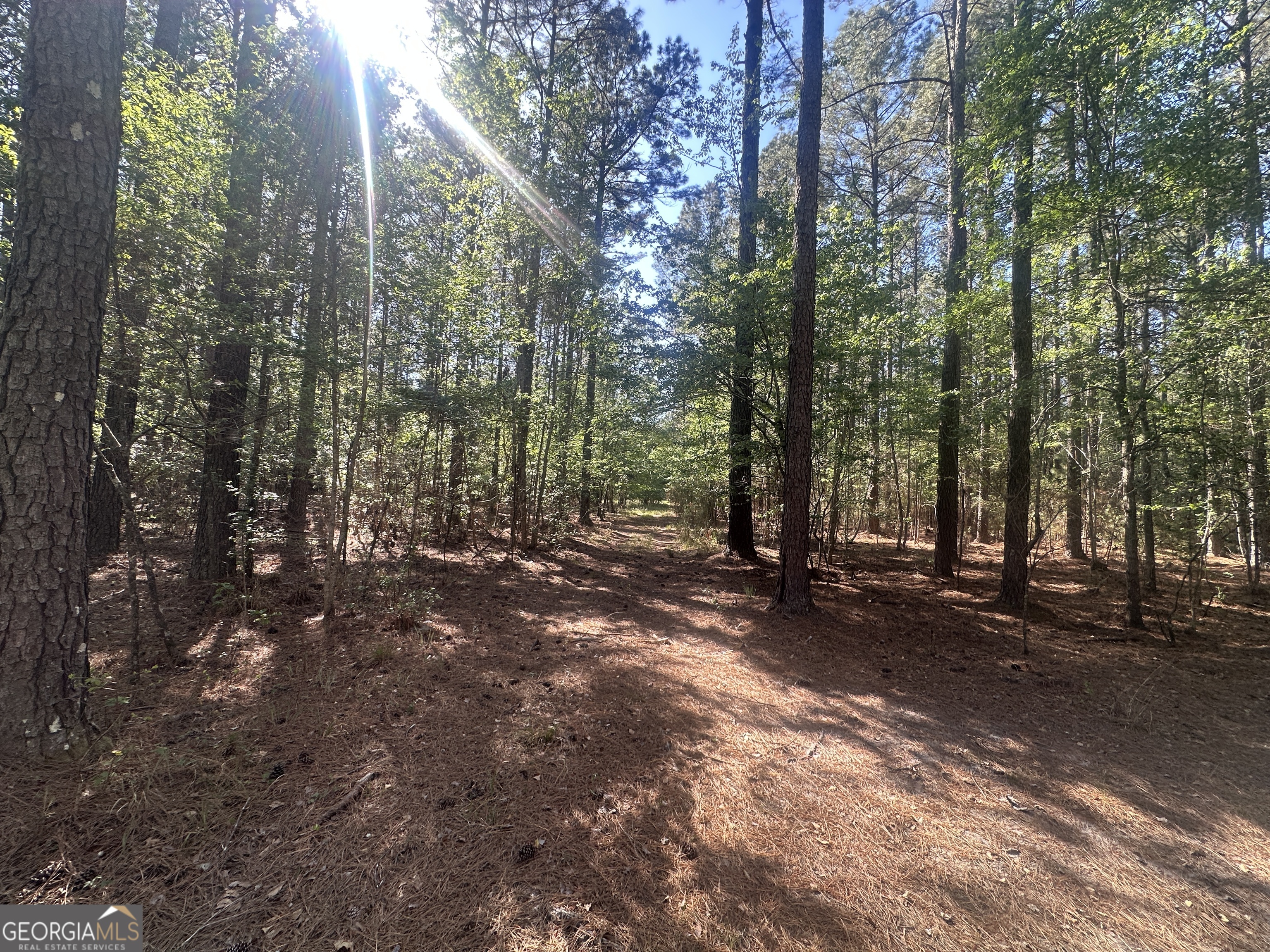 0 Burtons Ferry Highway Property Photo 9