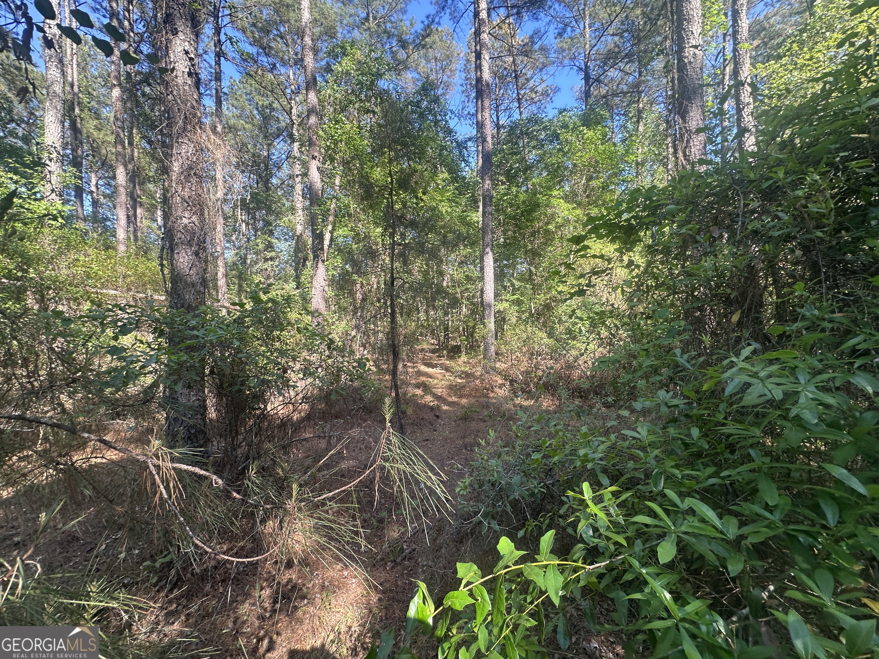 0 Burtons Ferry Highway Property Photo 10