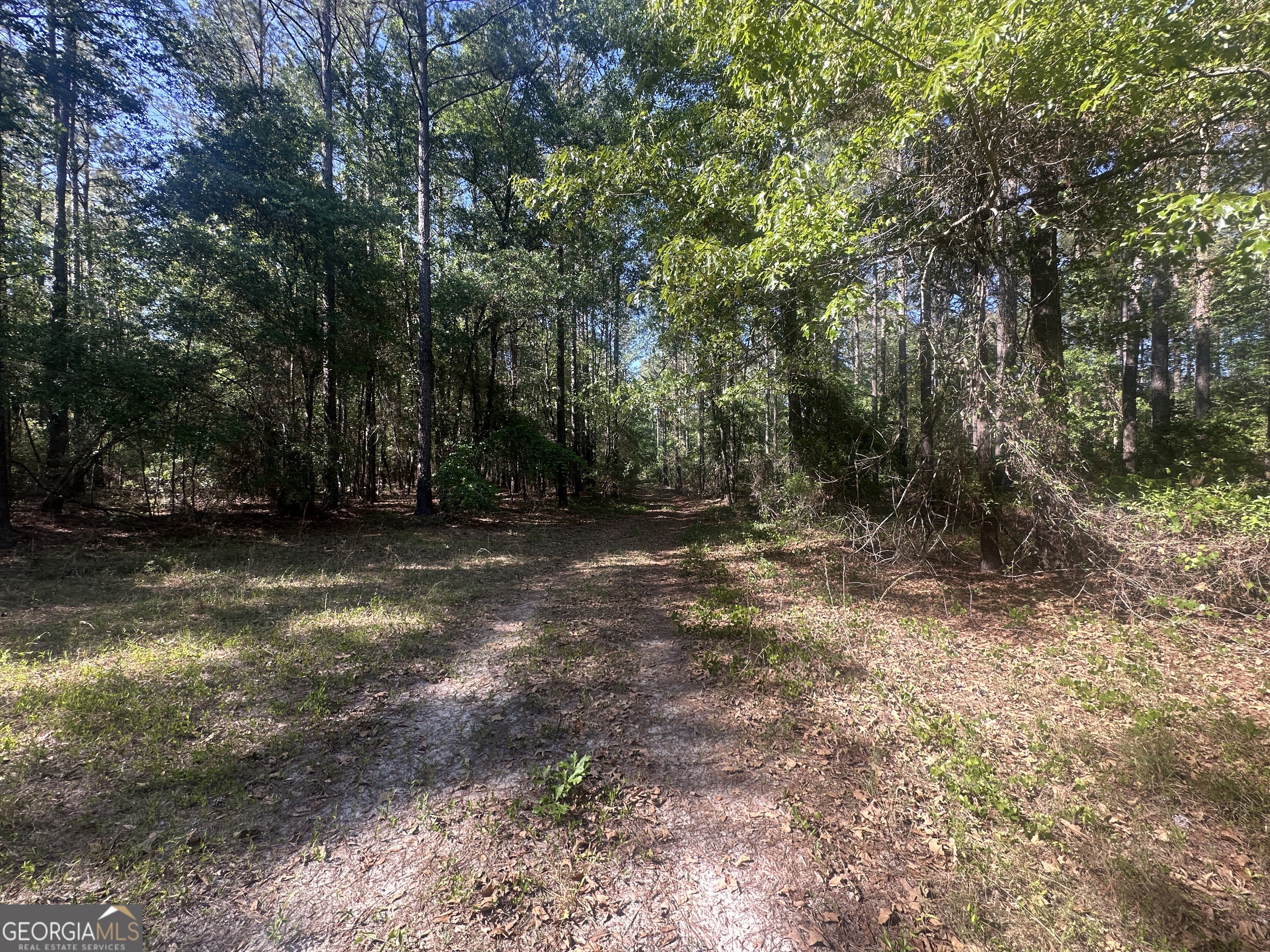 0 Burtons Ferry Highway Property Photo 11