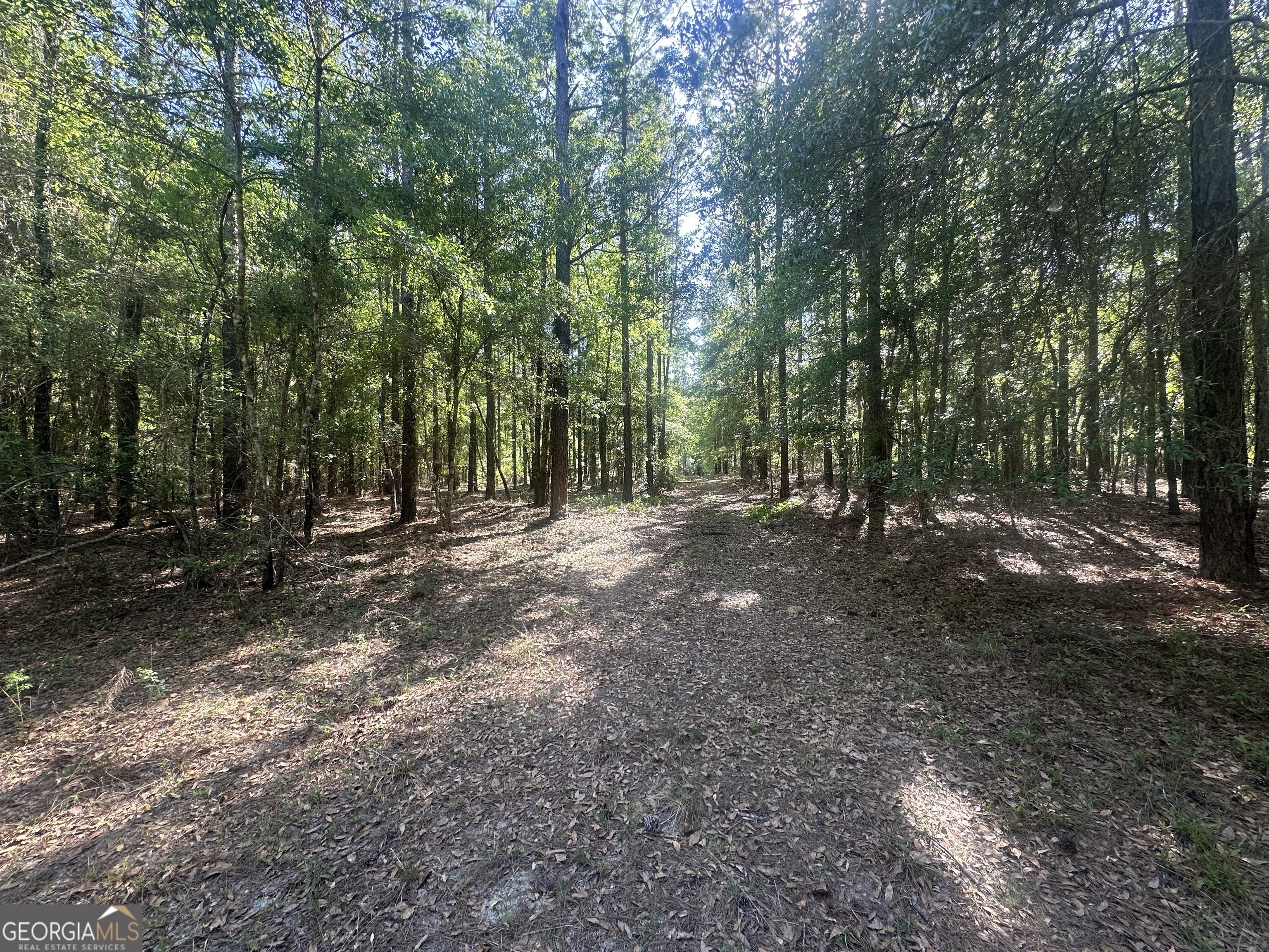 0 Burtons Ferry Highway Property Photo 12