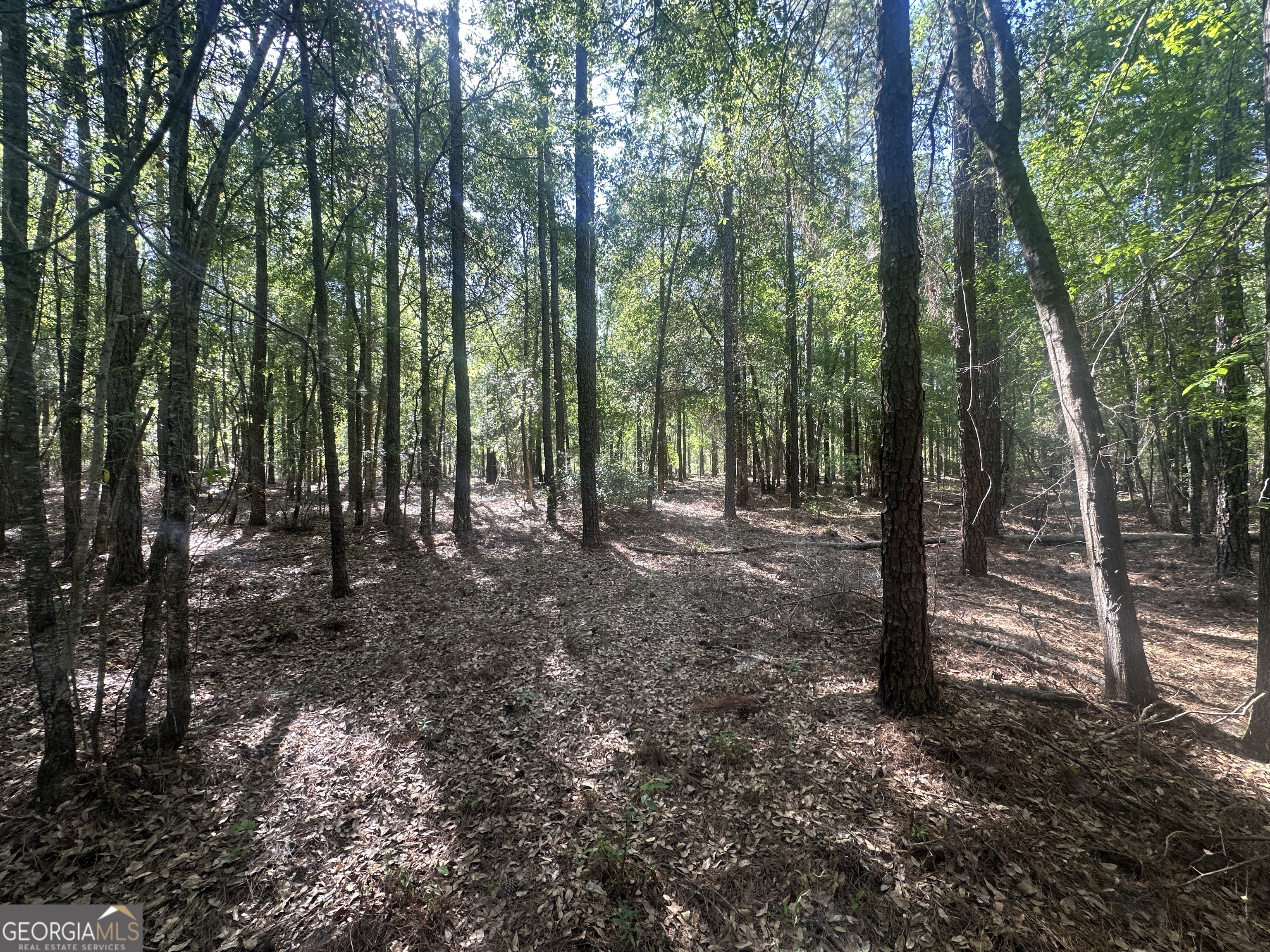 0 Burtons Ferry Highway Property Photo 13