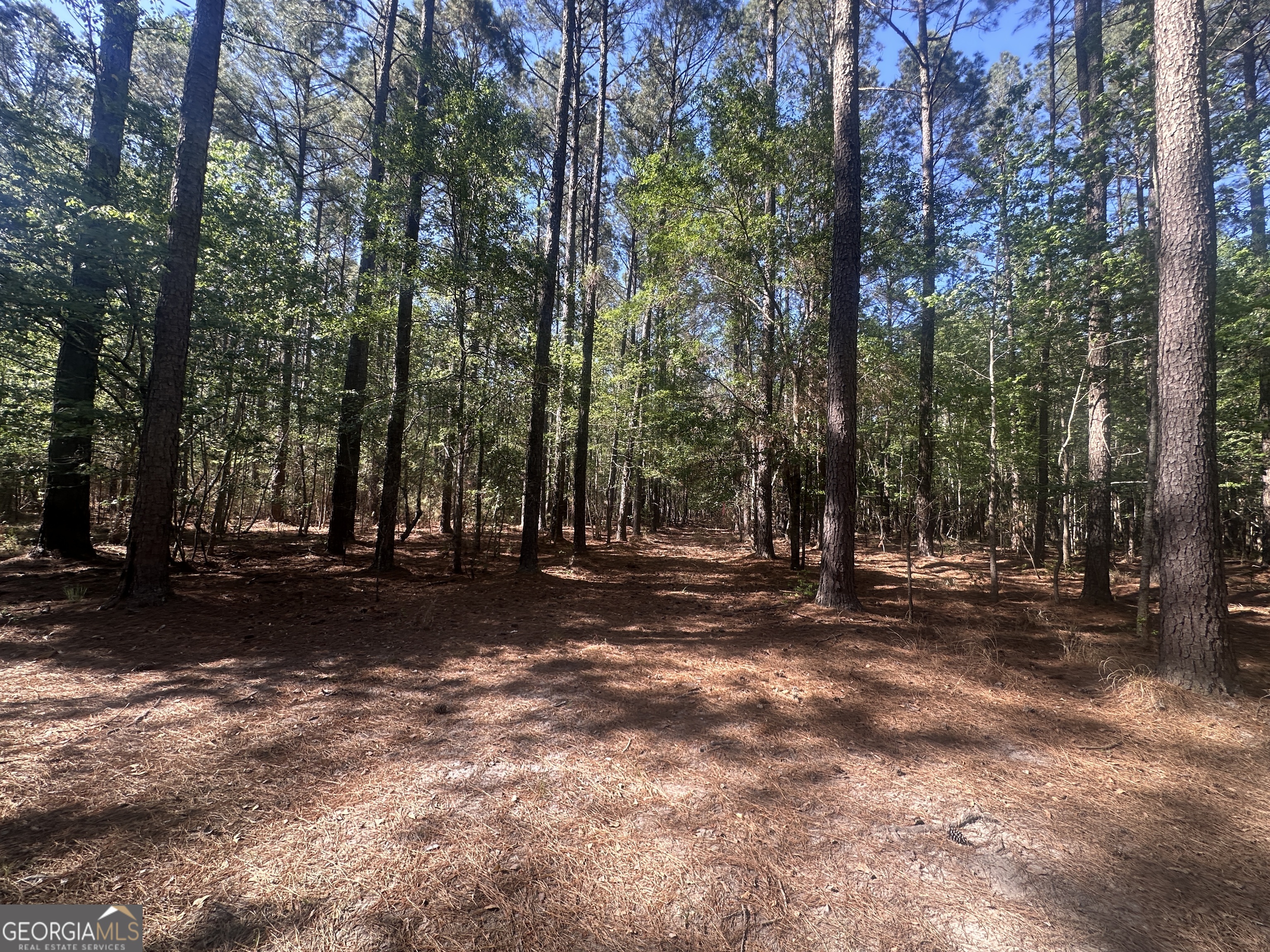 0 Burtons Ferry Highway Property Photo 14