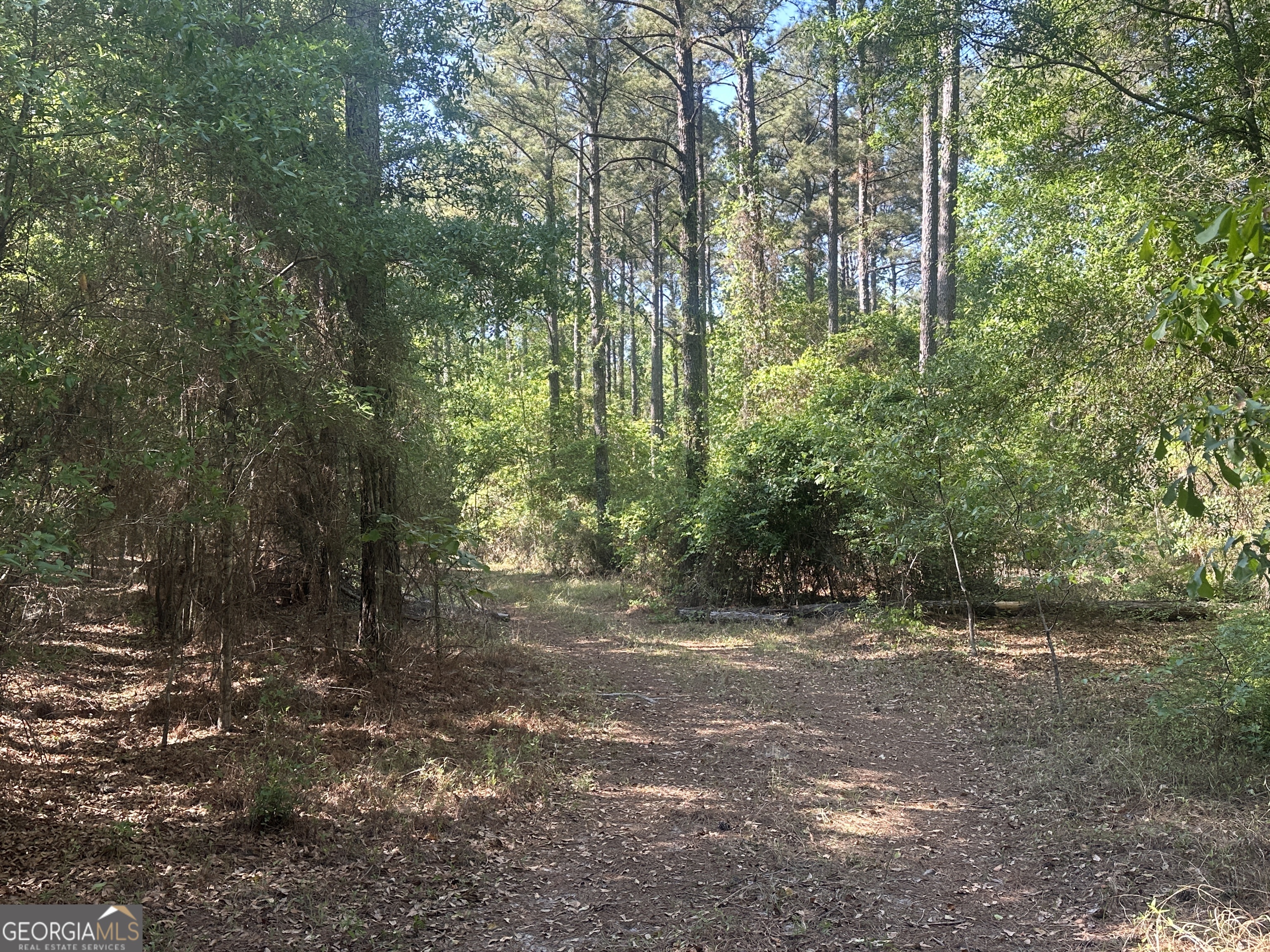 0 Burtons Ferry Highway Property Photo 15