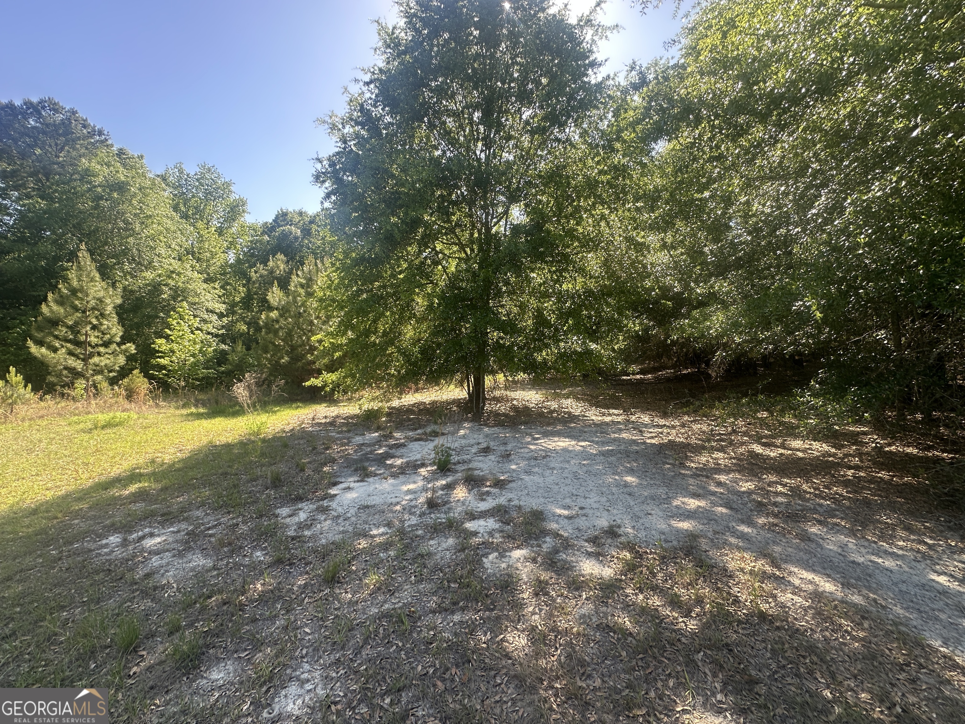 0 Burtons Ferry Highway Property Photo 16