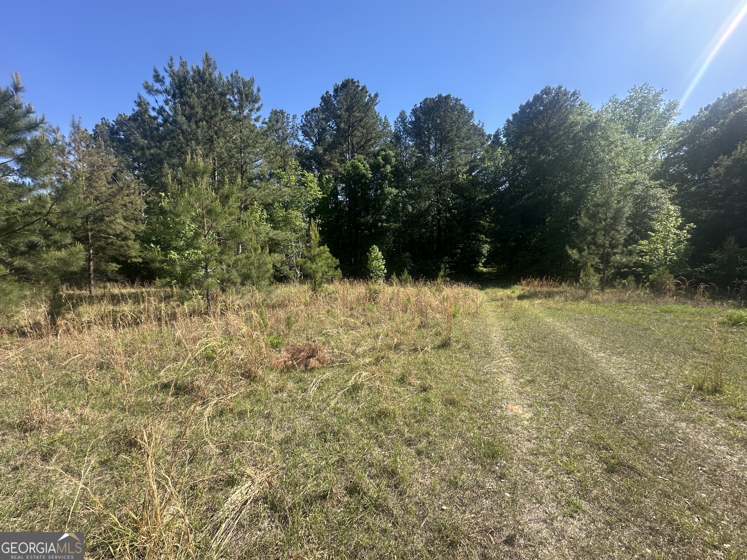 0 Burtons Ferry Highway Property Photo 17