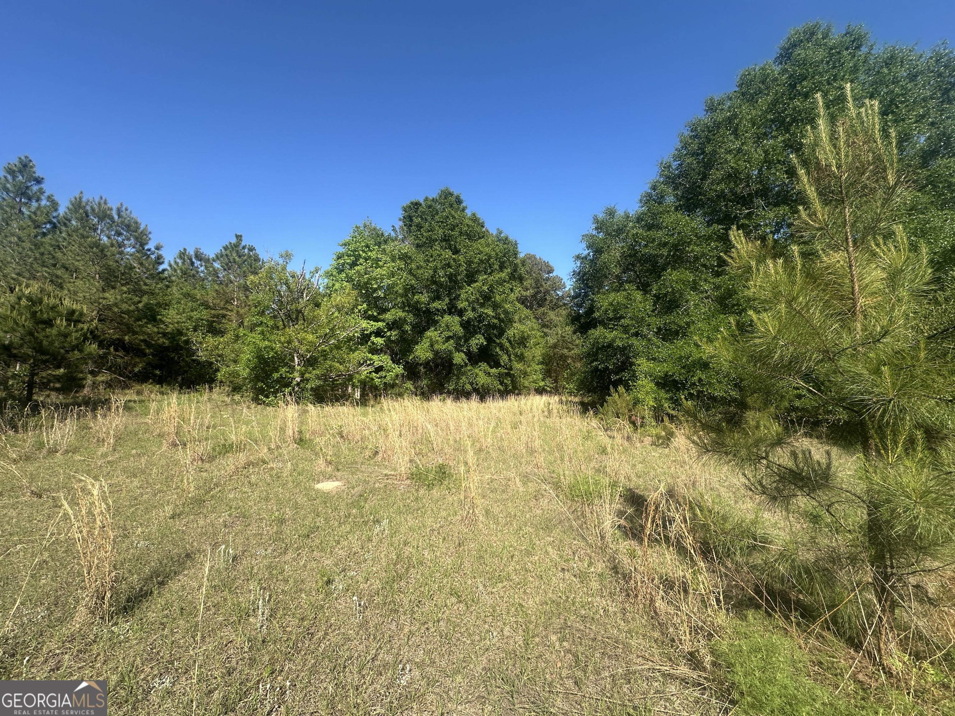 0 Burtons Ferry Highway Property Photo 18