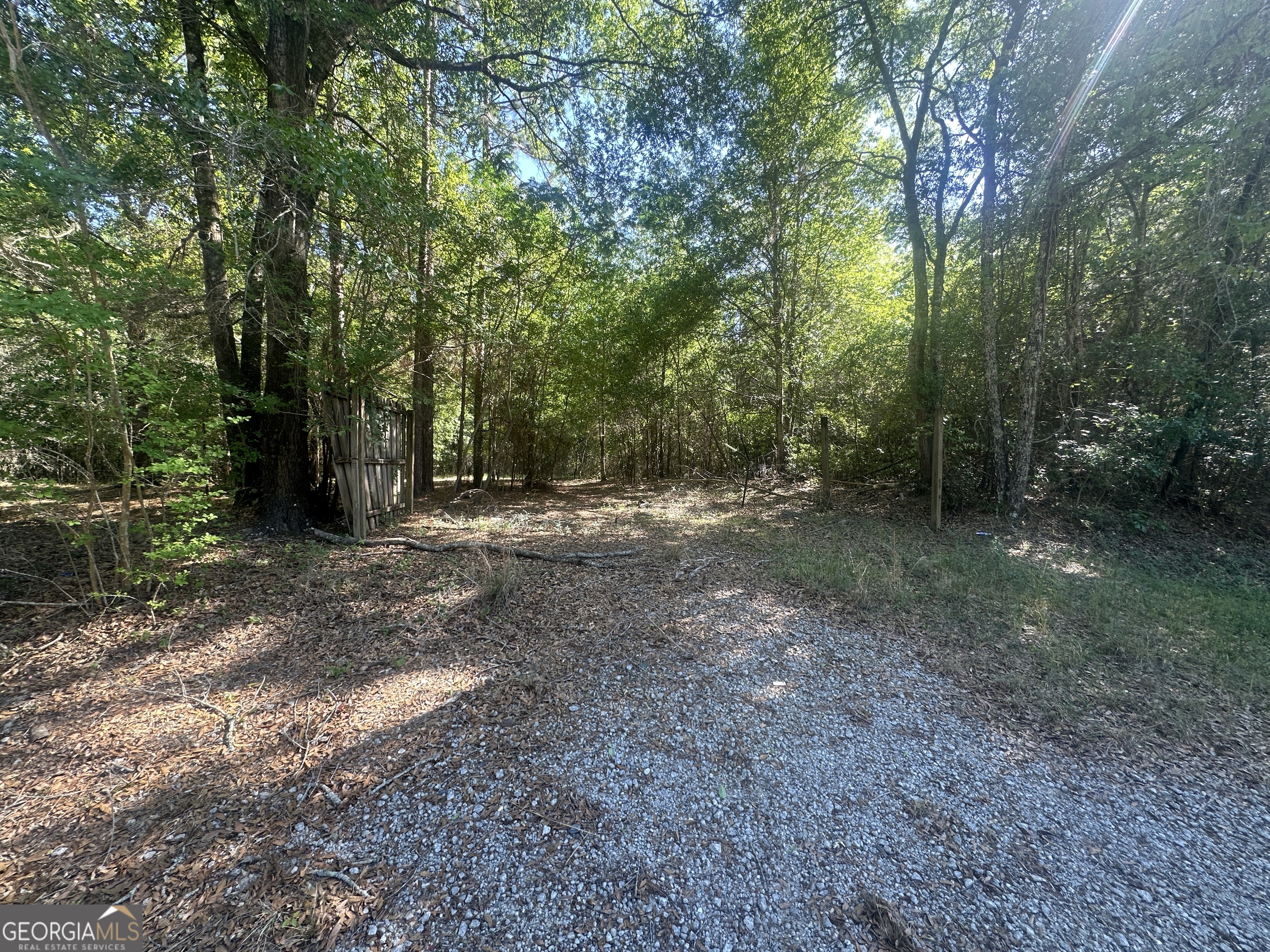 0 Burtons Ferry Highway Property Photo 19