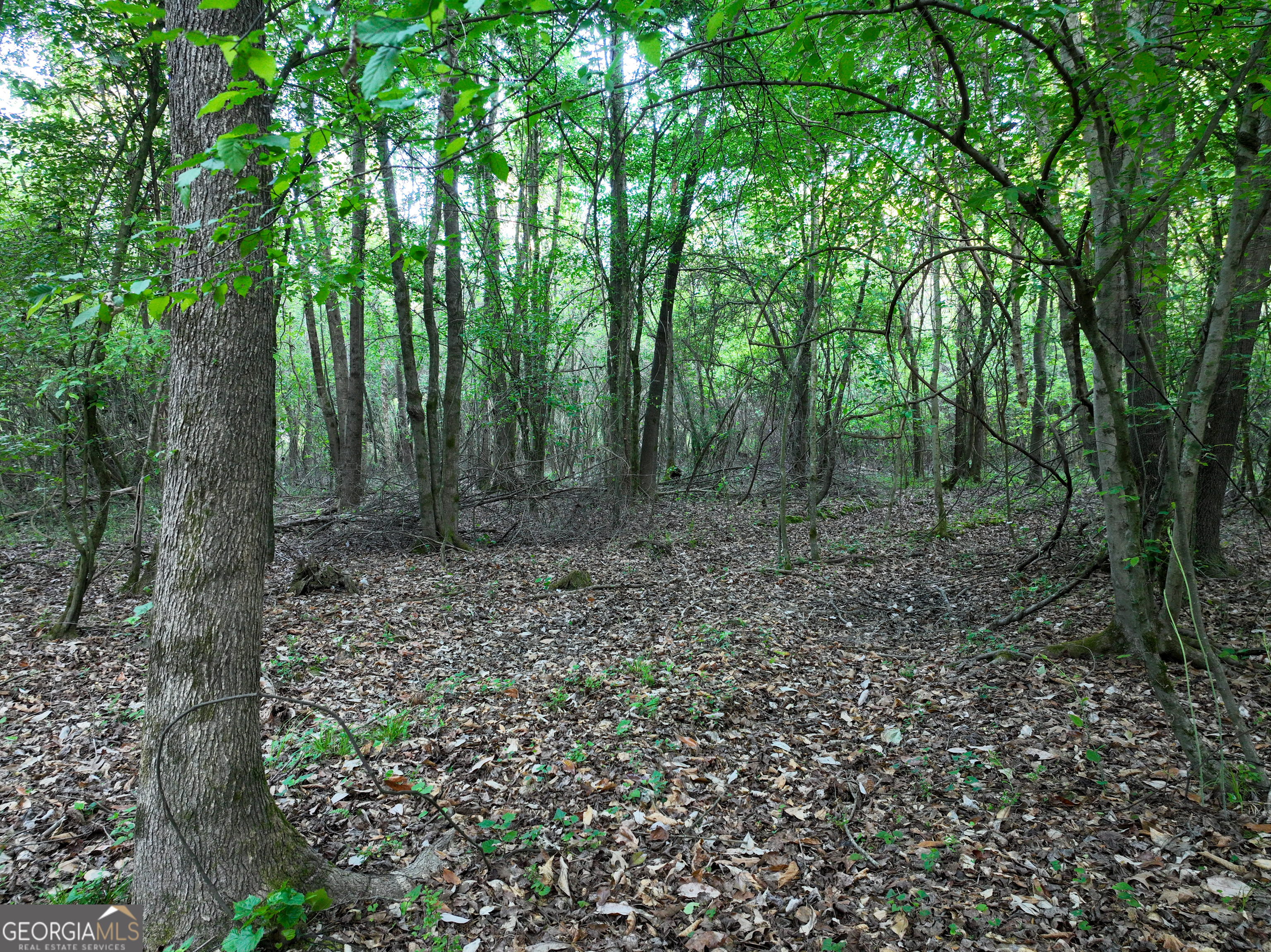 0 Zebulon Road Property Photo 7