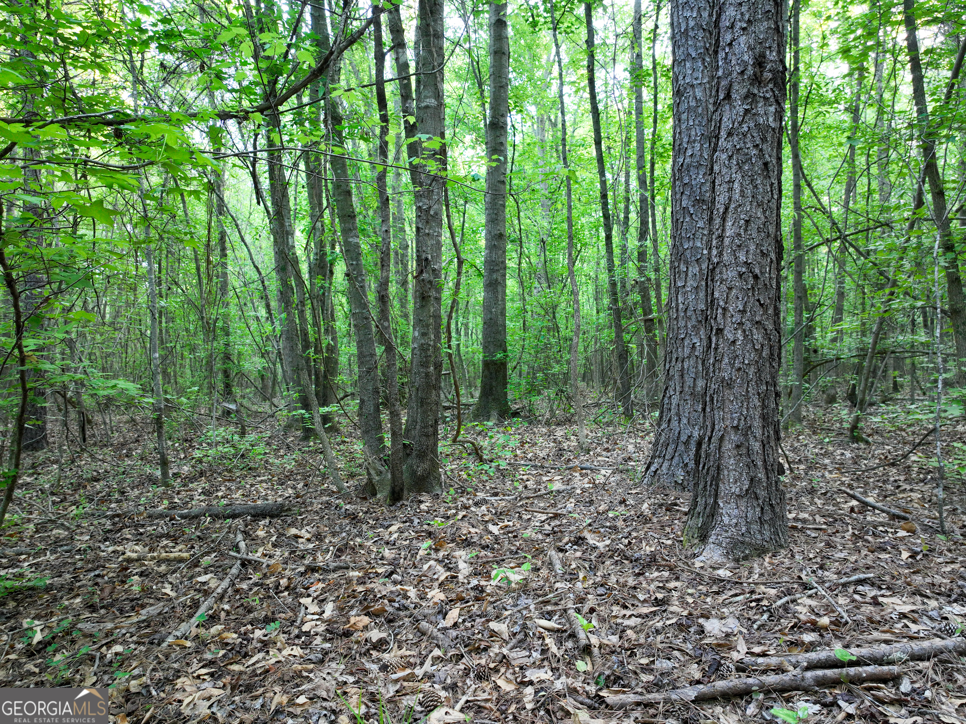0 Zebulon Road Property Photo 8