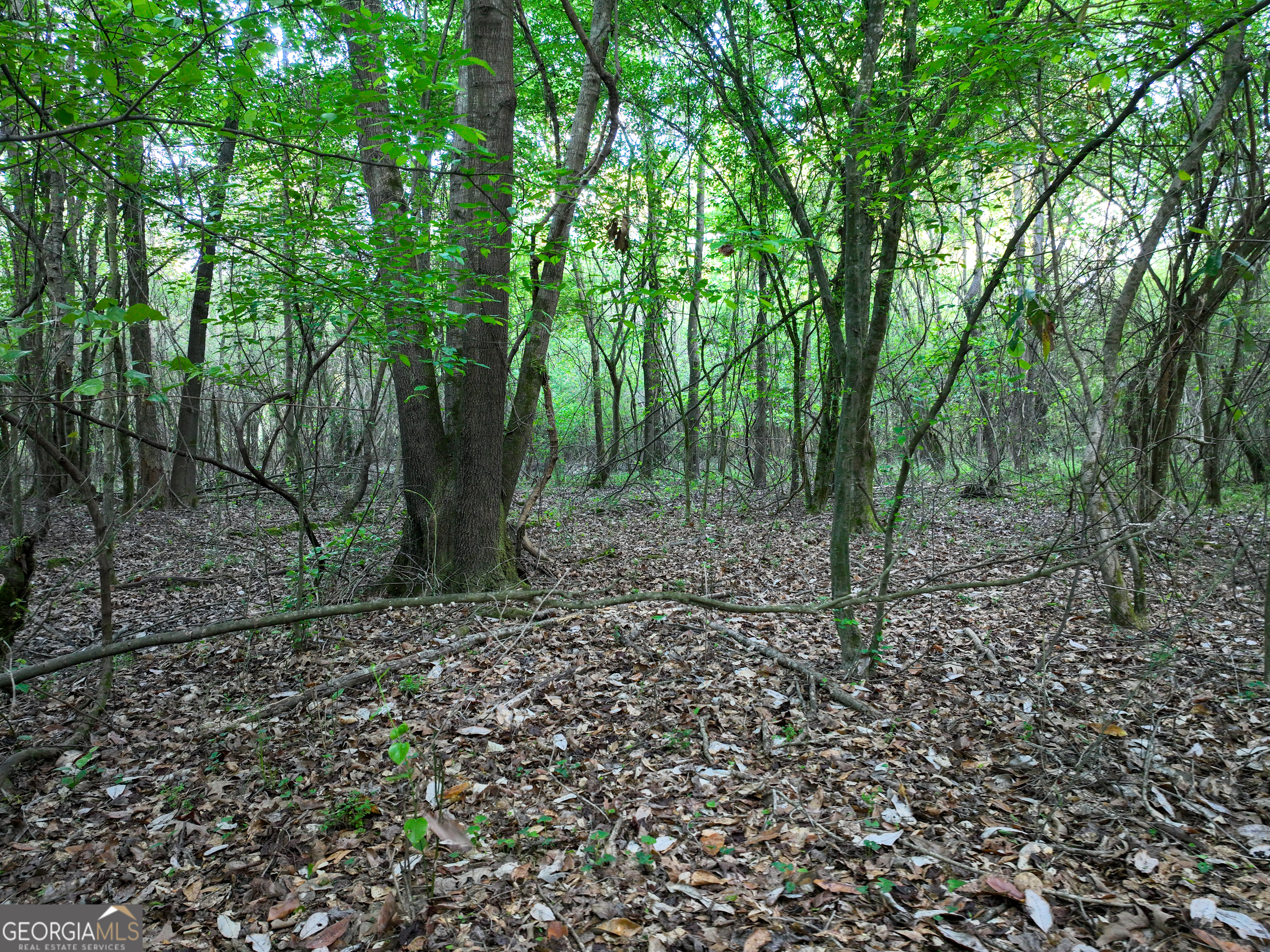 0 Zebulon Road Property Photo 15