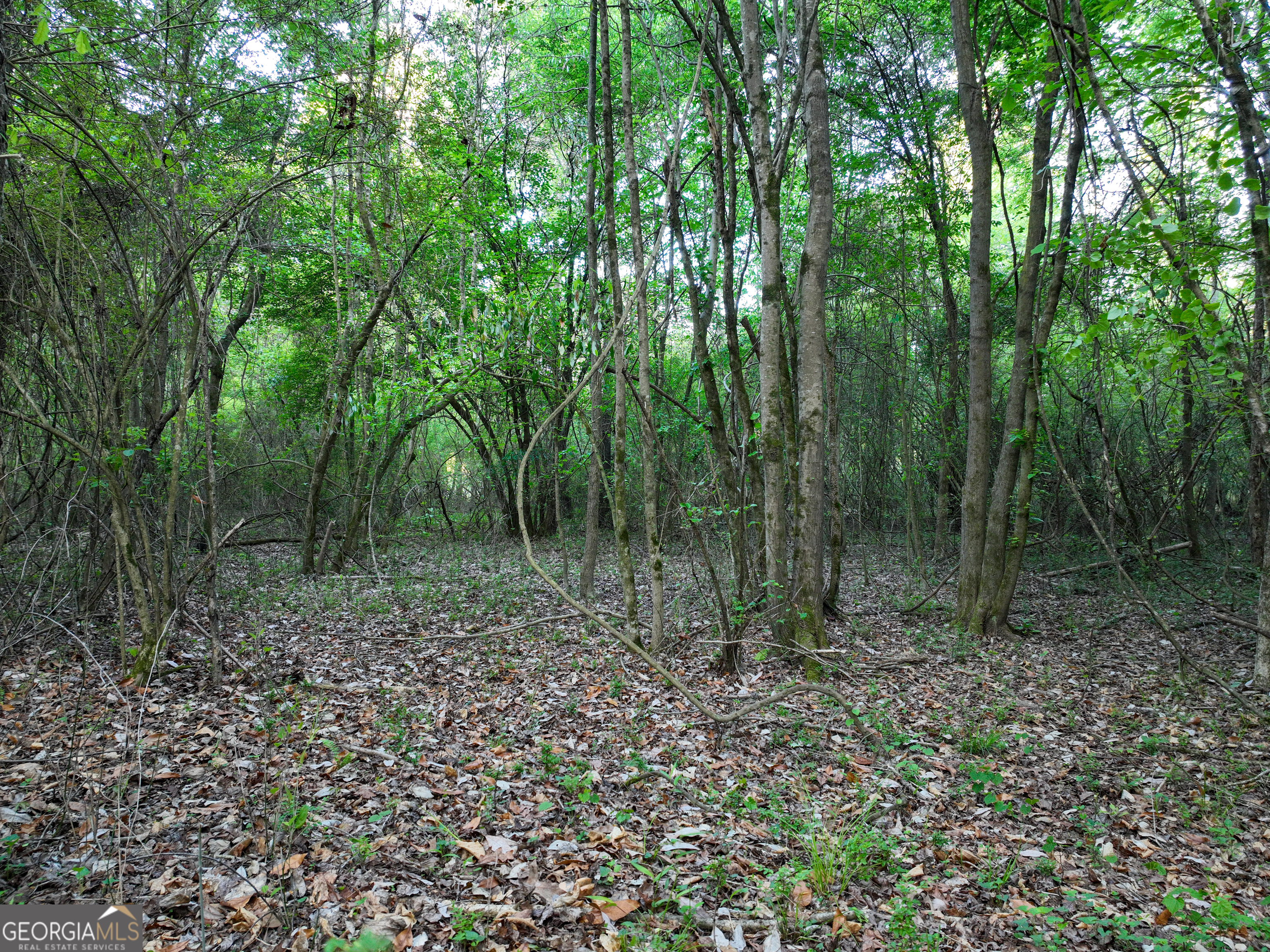 0 Zebulon Road Property Photo 16