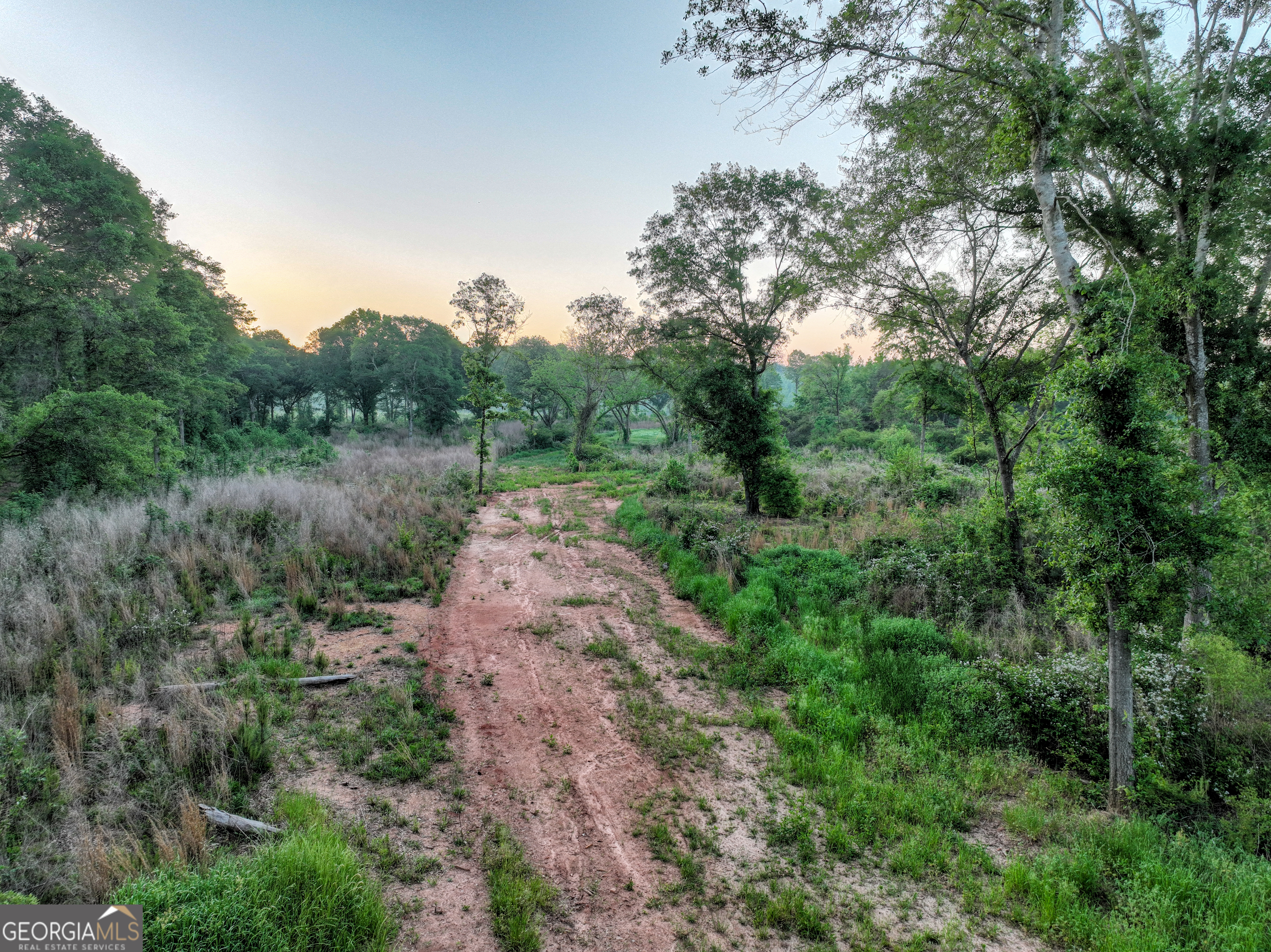 0 Zebulon Road Property Photo 21