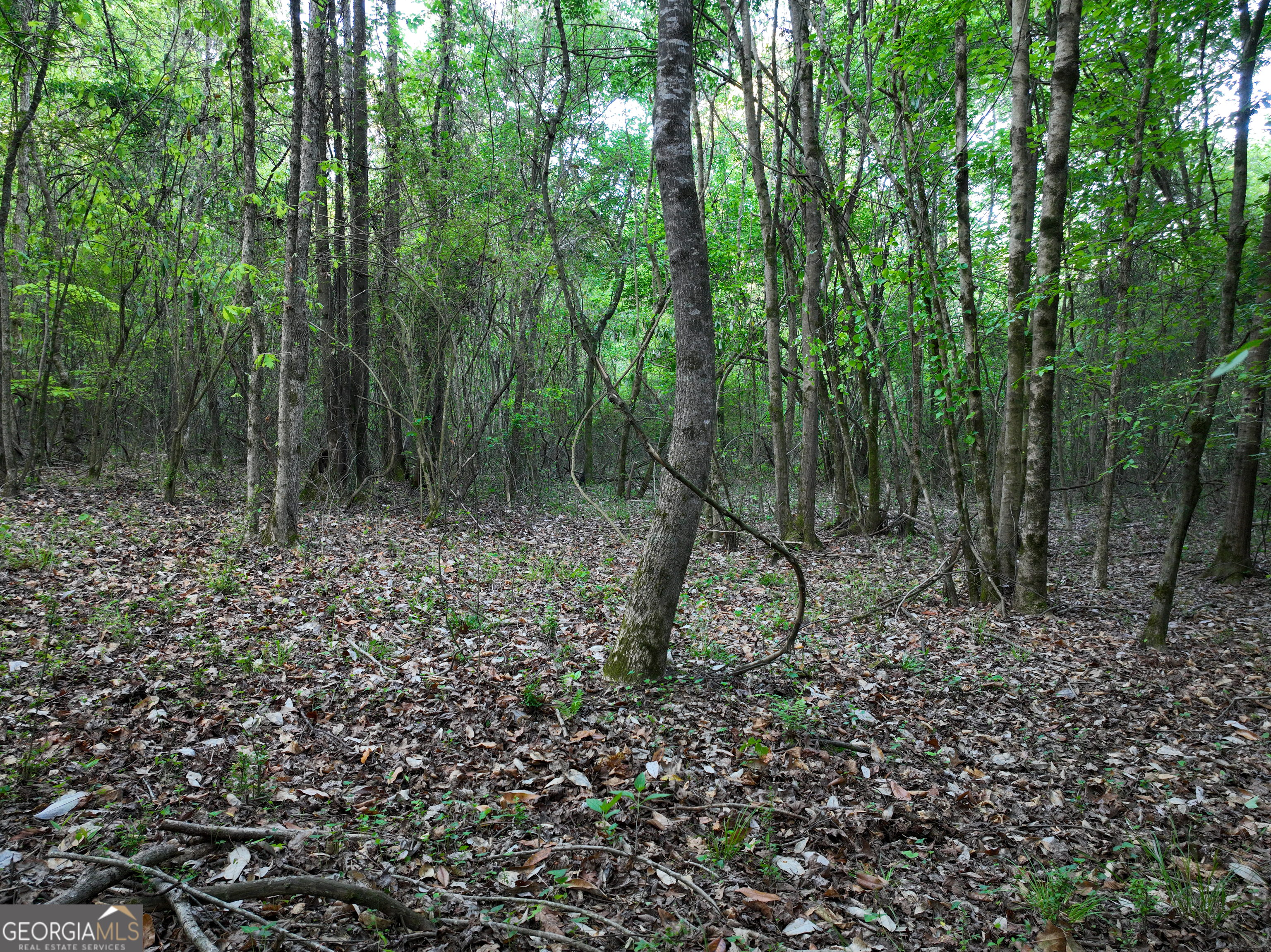 0 Zebulon Road Property Photo 24