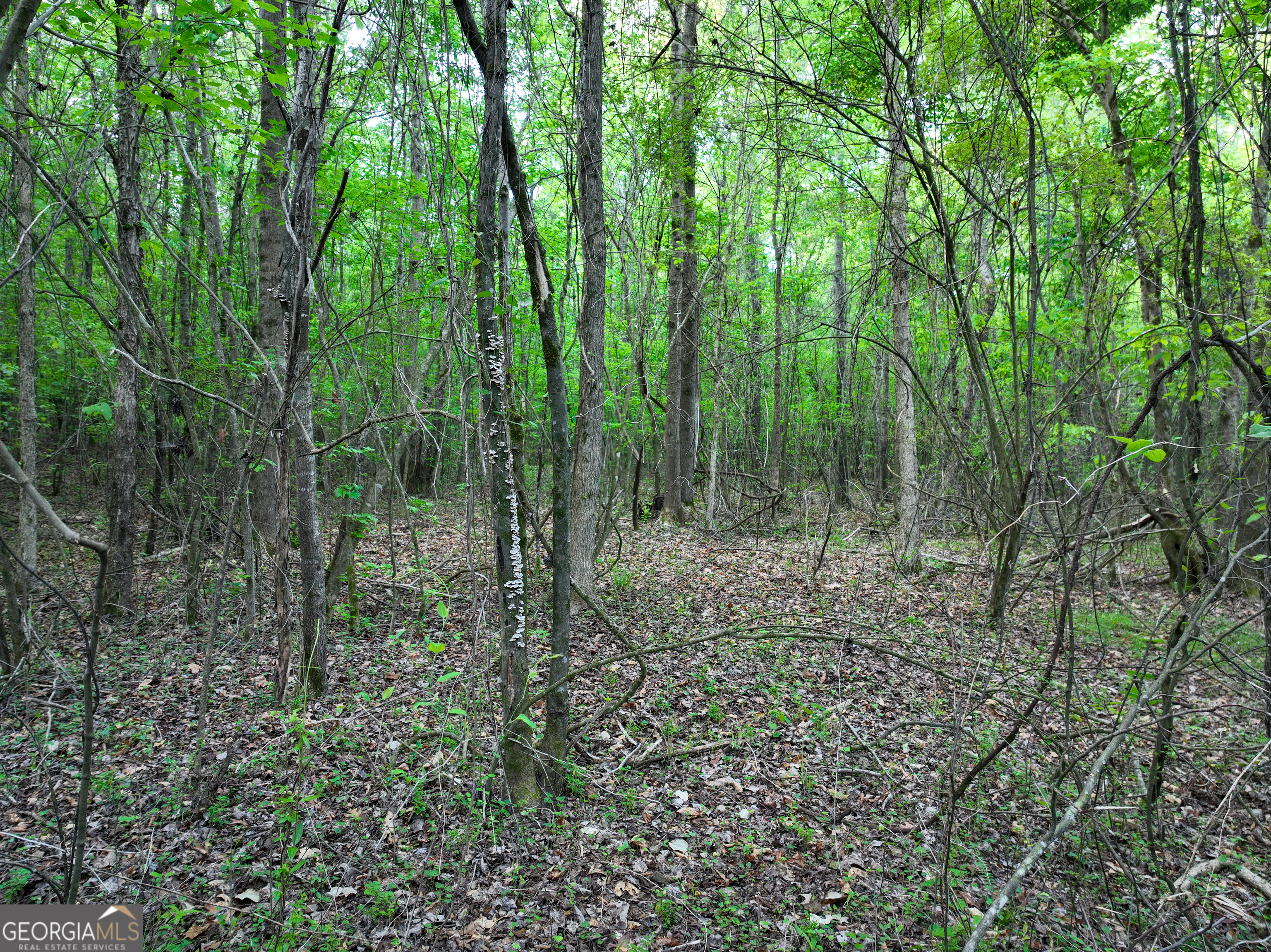 0 Zebulon Road Property Photo 25