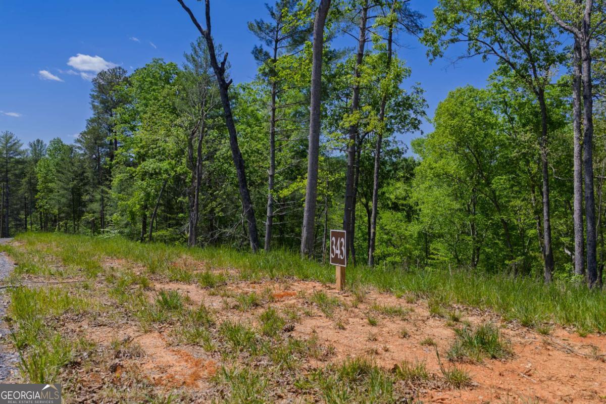 Lot 343 Shallow Branch Drive Property Photo 2