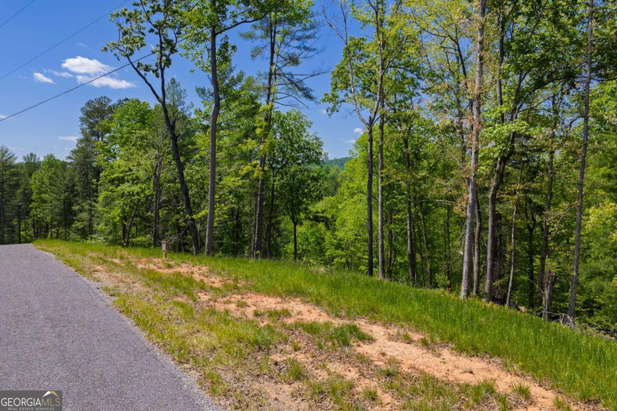 Lot 343 Shallow Branch Drive Property Photo 3