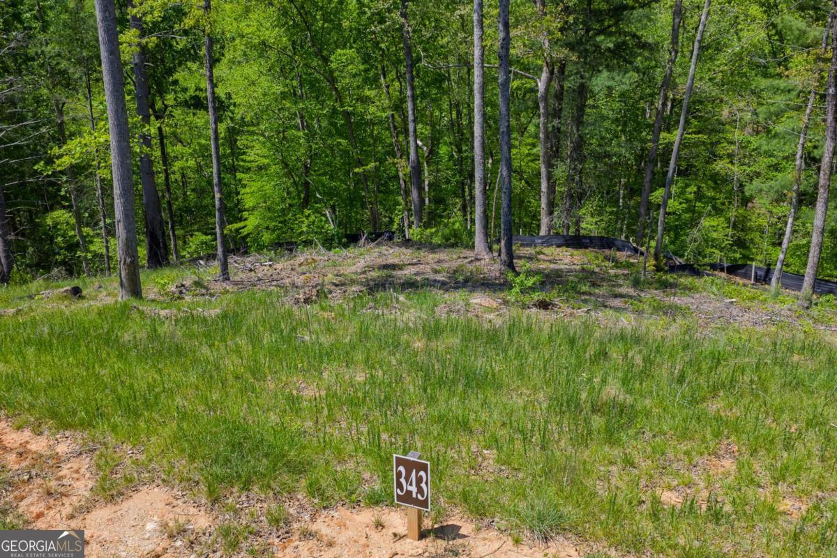 Lot 343 Shallow Branch Drive Property Photo 4
