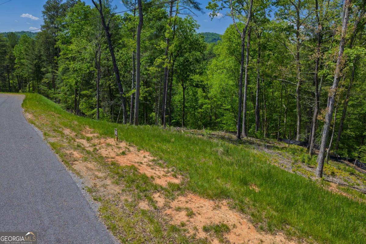 Lot 343 Shallow Branch Drive Property Photo 5