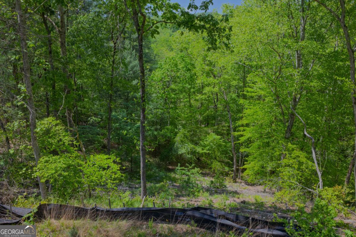 Lot 343 Shallow Branch Drive Property Photo 6