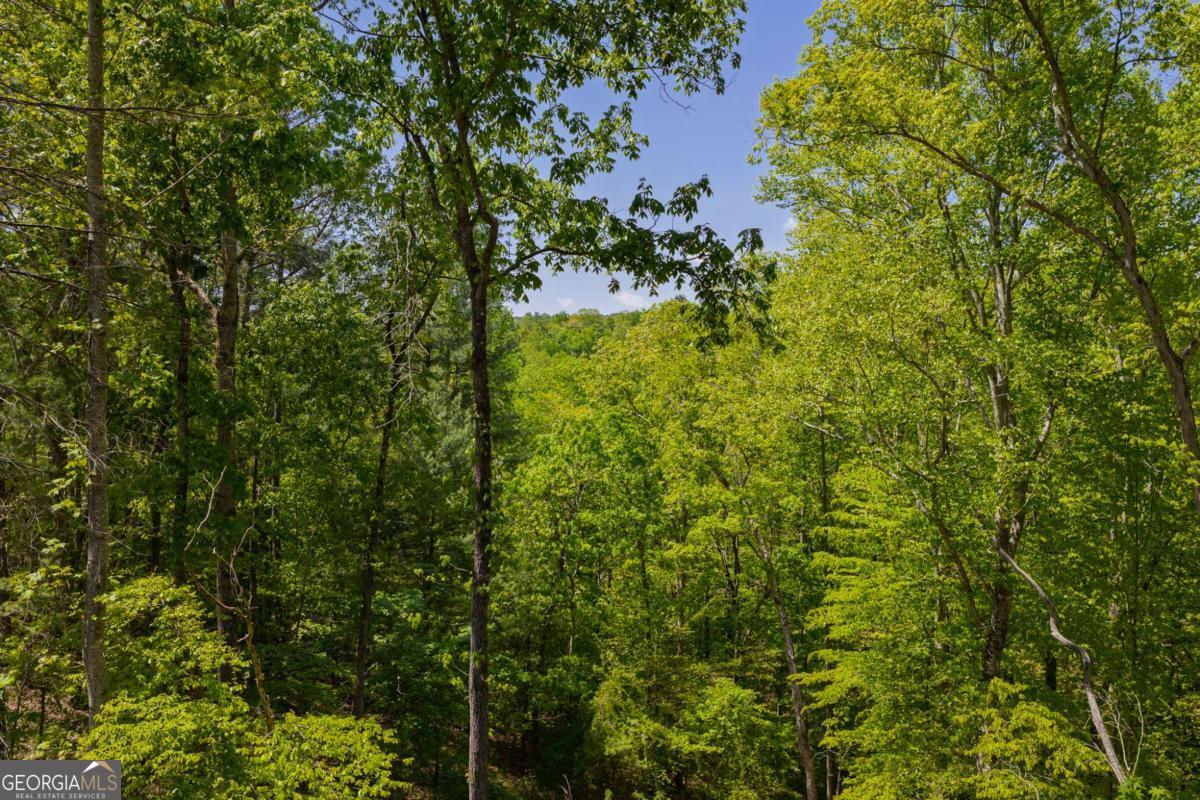Lot 343 Shallow Branch Drive Property Photo 7
