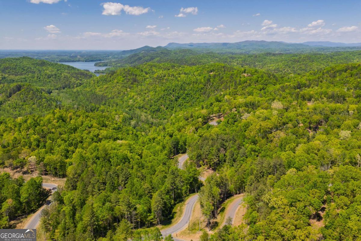 Lot 343 Shallow Branch Drive Property Photo 9