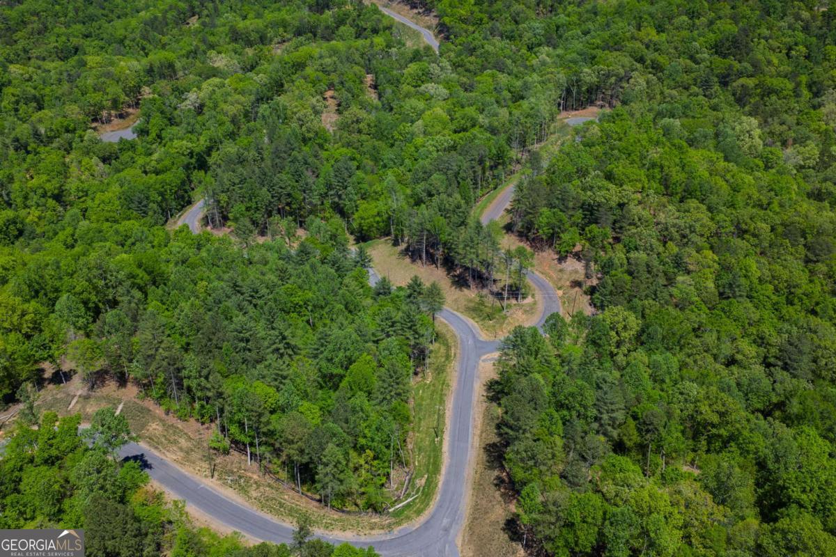 Lot 343 Shallow Branch Drive Property Photo 10