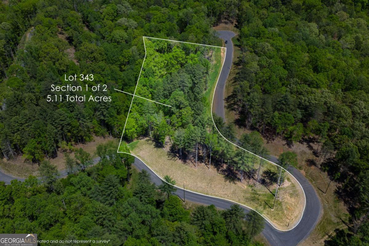Lot 343 Shallow Branch Drive Property Photo 12