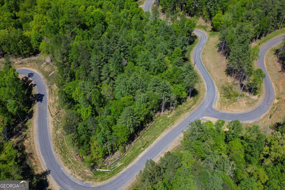 Lot 343 Shallow Branch Drive Property Photo 13